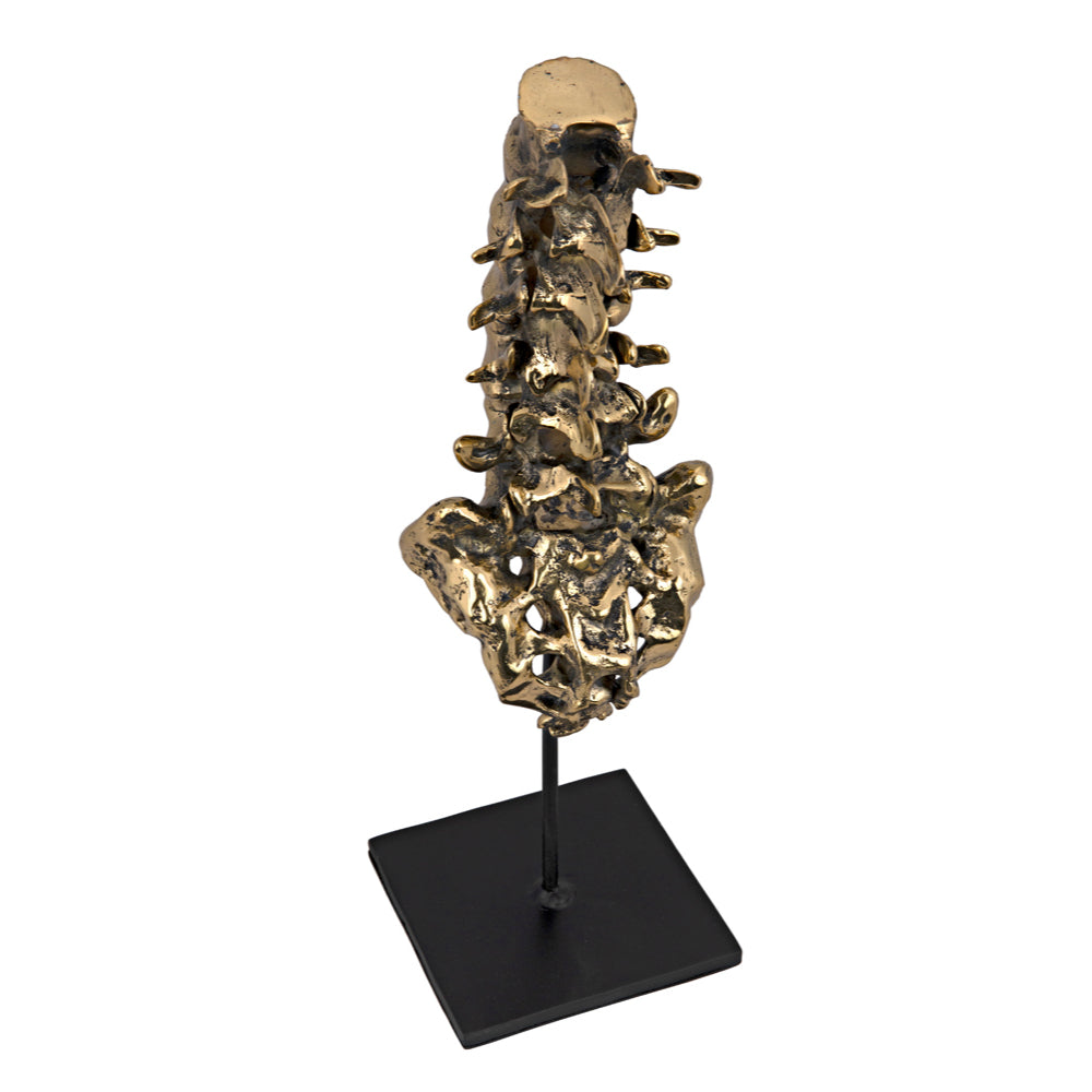 Vertebrae Sculpture Sculptures Noir , Black Friday Sale Noir Furniture Sale, Old Bones Co, Mid Century Furniture Sale, Four Hands Furniture, Black Friday Sale Vertebrae Sculpture,Gus Sale, Perigold Vertebrae Sculpture Sculptures Black Friday Sale , Perigold Sale Vertebrae Sculpture,Vertebrae Sculpture Lulu and Georgia, Burke Decor Sale Vertebrae Sculpture, www.oldbonesco.com