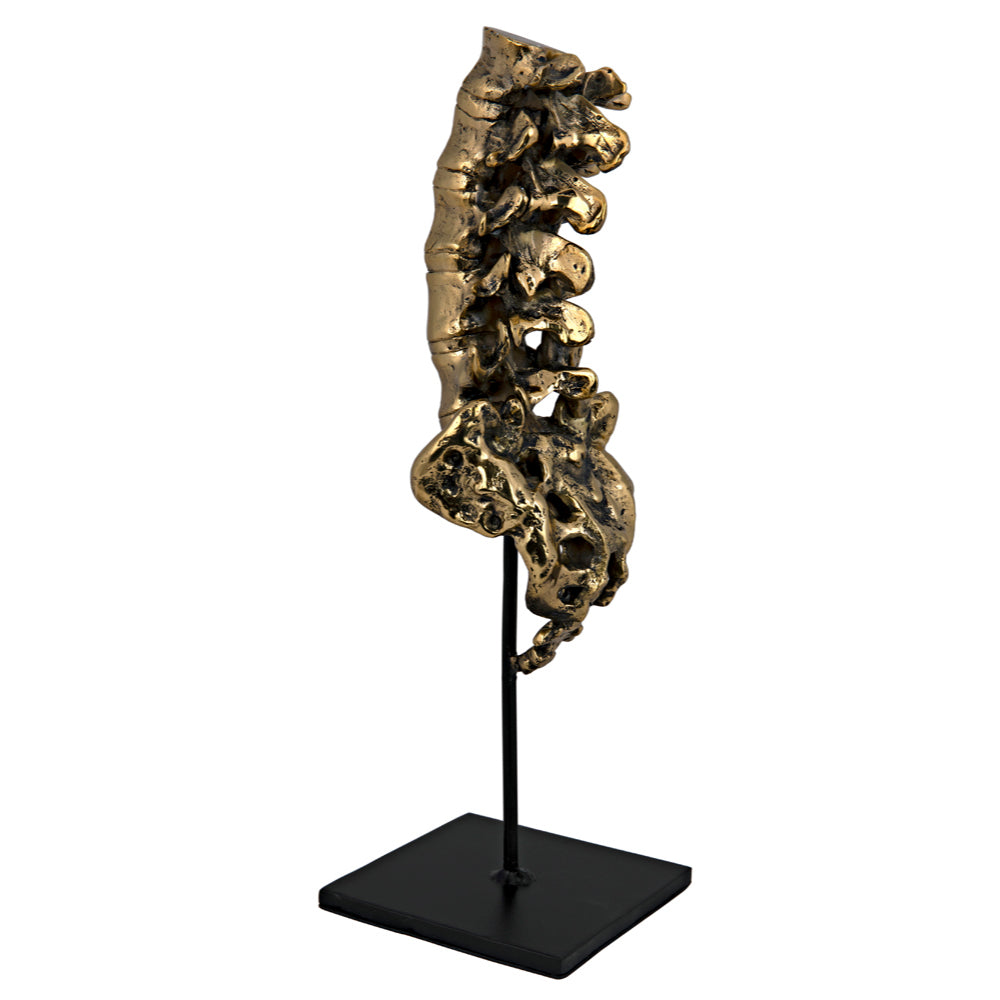 Vertebrae Sculpture Sculptures Noir , Black Friday Sale Noir Furniture Sale, Old Bones Co, Mid Century Furniture Sale, Four Hands Furniture, Black Friday Sale Vertebrae Sculpture,Gus Sale, Perigold Vertebrae Sculpture Sculptures Black Friday Sale , Perigold Sale Vertebrae Sculpture,Vertebrae Sculpture Lulu and Georgia, Burke Decor Sale Vertebrae Sculpture, www.oldbonesco.com