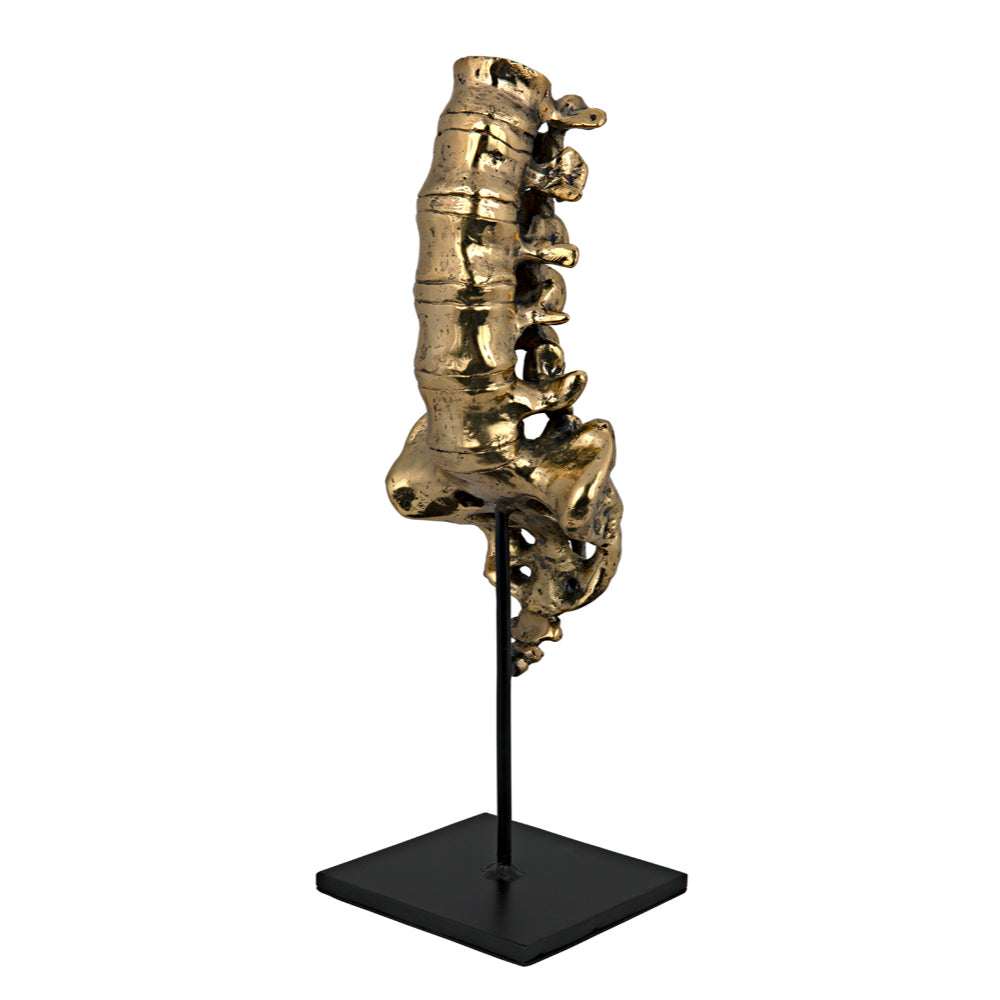 Vertebrae Sculpture Sculptures Noir , Black Friday Sale Noir Furniture Sale, Old Bones Co, Mid Century Furniture Sale, Four Hands Furniture, Black Friday Sale Vertebrae Sculpture,Gus Sale, Perigold Vertebrae Sculpture Sculptures Black Friday Sale , Perigold Sale Vertebrae Sculpture,Vertebrae Sculpture Lulu and Georgia, Burke Decor Sale Vertebrae Sculpture, www.oldbonesco.com