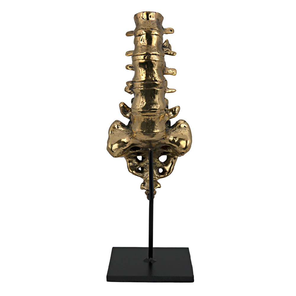 Vertebrae Sculpture Sculptures Noir , Black Friday Sale Noir Furniture Sale, Old Bones Co, Mid Century Furniture Sale, Four Hands Furniture, Black Friday Sale Vertebrae Sculpture,Gus Sale, Perigold Vertebrae Sculpture Sculptures Black Friday Sale , Perigold Sale Vertebrae Sculpture,Vertebrae Sculpture Lulu and Georgia, Burke Decor Sale Vertebrae Sculpture, www.oldbonesco.com