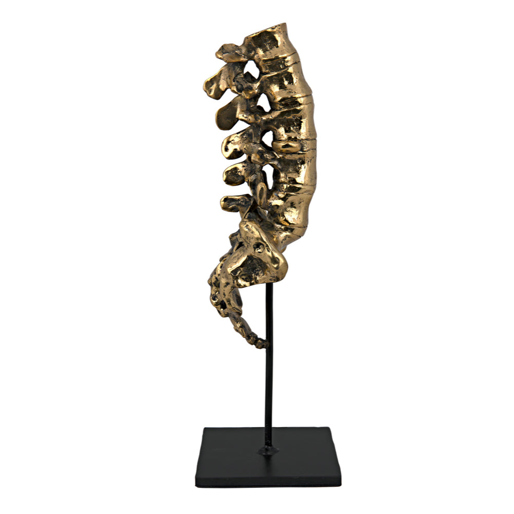 Vertebrae Sculpture Sculptures Noir , Black Friday Sale Noir Furniture Sale, Old Bones Co, Mid Century Furniture Sale, Four Hands Furniture, Black Friday Sale Vertebrae Sculpture,Gus Sale, Perigold Vertebrae Sculpture Sculptures Black Friday Sale , Perigold Sale Vertebrae Sculpture,Vertebrae Sculpture Lulu and Georgia, Burke Decor Sale Vertebrae Sculpture, www.oldbonesco.com