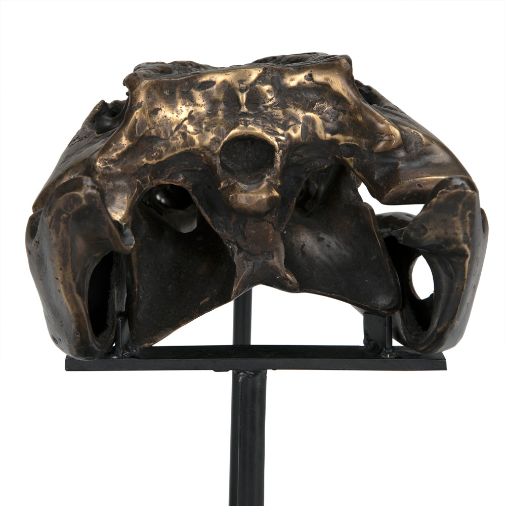 Alligator on Stand Sculpture Sculptures Noir , Black Friday Sale Noir Furniture Sale, Old Bones Co, Mid Century Furniture Sale, Four Hands Furniture, Black Friday Sale Alligator on Stand Sculpture,Gus Sale, Perigold Alligator on Stand Sculpture Sculptures Black Friday Sale , Perigold Sale Alligator on Stand Sculpture,Alligator on Stand Sculpture Lulu and Georgia, Burke Decor Sale Alligator on Stand Sculpture, www.oldbonesco.com