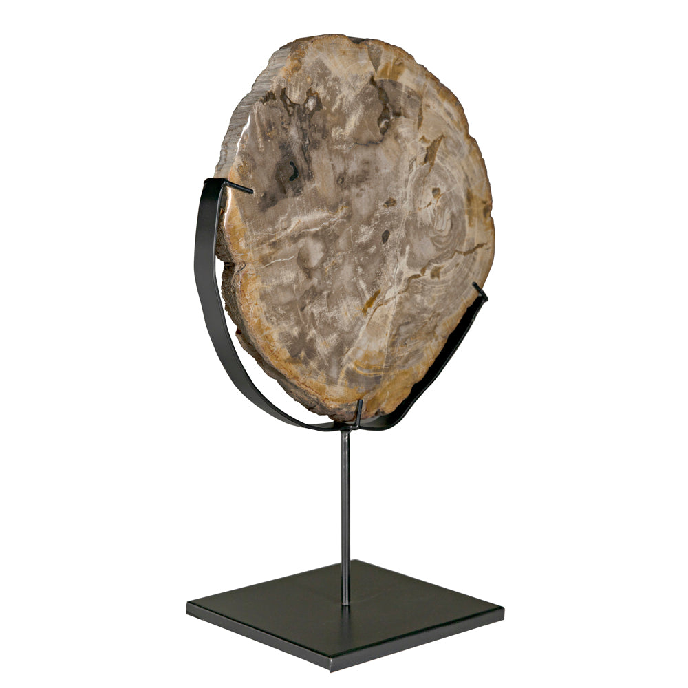 Wood Fossil with Stand Sculptures Noir 12" , Black Friday Sale Noir Furniture Sale, Old Bones Co, Mid Century Furniture Sale, Four Hands Furniture, Black Friday Sale Wood Fossil with Stand,Gus Sale, Perigold Wood Fossil with Stand Sculptures Black Friday Sale , Perigold Sale Wood Fossil with Stand,Wood Fossil with Stand Lulu and Georgia, Burke Decor Sale Wood Fossil with Stand, www.oldbonesco.com