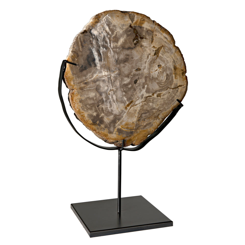 Wood Fossil with Stand Sculptures Noir , Black Friday Sale Noir Furniture Sale, Old Bones Co, Mid Century Furniture Sale, Four Hands Furniture, Black Friday Sale Wood Fossil with Stand,Gus Sale, Perigold Wood Fossil with Stand Sculptures Black Friday Sale , Perigold Sale Wood Fossil with Stand,Wood Fossil with Stand Lulu and Georgia, Burke Decor Sale Wood Fossil with Stand, www.oldbonesco.com