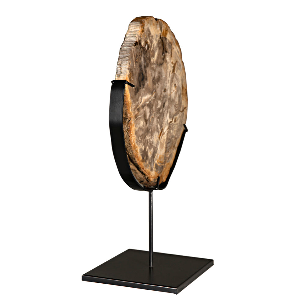 Wood Fossil with Stand Sculptures Noir , Black Friday Sale Noir Furniture Sale, Old Bones Co, Mid Century Furniture Sale, Four Hands Furniture, Black Friday Sale Wood Fossil with Stand,Gus Sale, Perigold Wood Fossil with Stand Sculptures Black Friday Sale , Perigold Sale Wood Fossil with Stand,Wood Fossil with Stand Lulu and Georgia, Burke Decor Sale Wood Fossil with Stand, www.oldbonesco.com