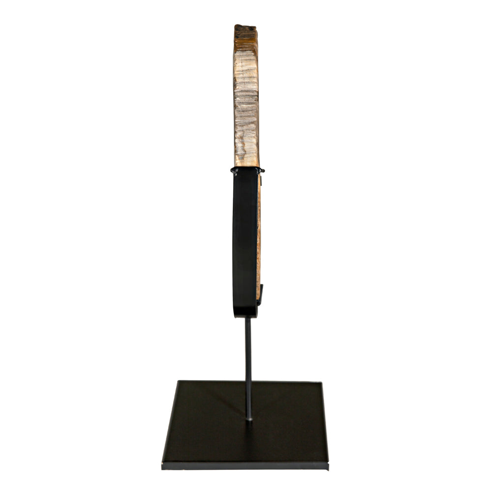 Wood Fossil with Stand Sculptures Noir , Black Friday Sale Noir Furniture Sale, Old Bones Co, Mid Century Furniture Sale, Four Hands Furniture, Black Friday Sale Wood Fossil with Stand,Gus Sale, Perigold Wood Fossil with Stand Sculptures Black Friday Sale , Perigold Sale Wood Fossil with Stand,Wood Fossil with Stand Lulu and Georgia, Burke Decor Sale Wood Fossil with Stand, www.oldbonesco.com