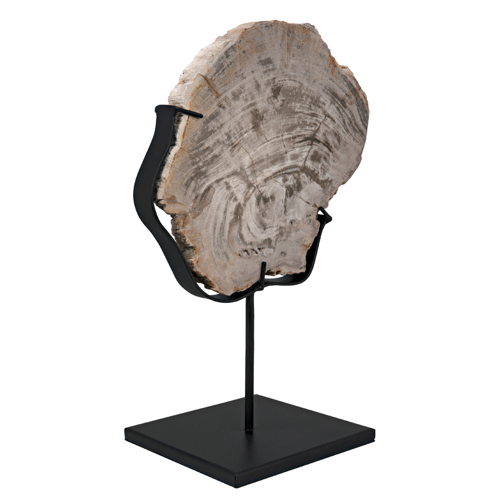 Wood Fossil with Stand Sculptures Noir , Black Friday Sale Noir Furniture Sale, Old Bones Co, Mid Century Furniture Sale, Four Hands Furniture, Black Friday Sale Wood Fossil with Stand,Gus Sale, Perigold Wood Fossil with Stand Sculptures Black Friday Sale , Perigold Sale Wood Fossil with Stand,Wood Fossil with Stand Lulu and Georgia, Burke Decor Sale Wood Fossil with Stand, www.oldbonesco.com