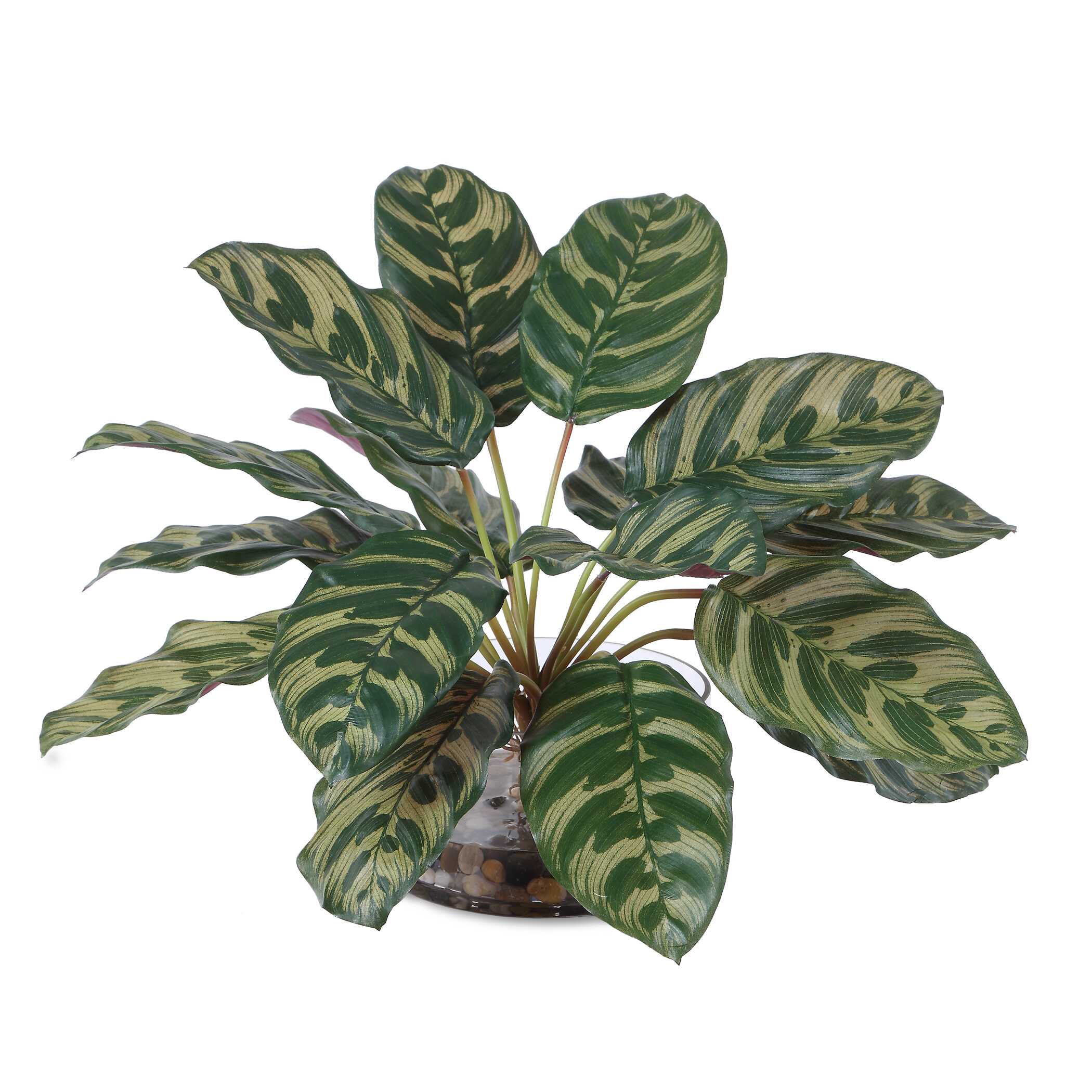 Uttermost Peacock Plant Accent