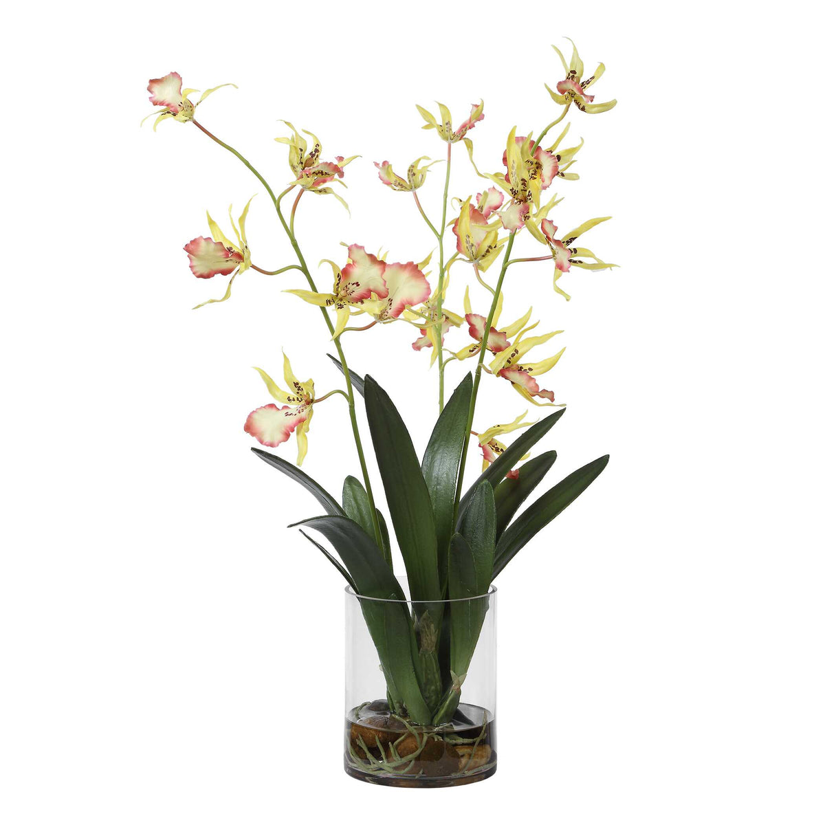 Uttermost Spider Orchid in Glass Vase by Uttermost