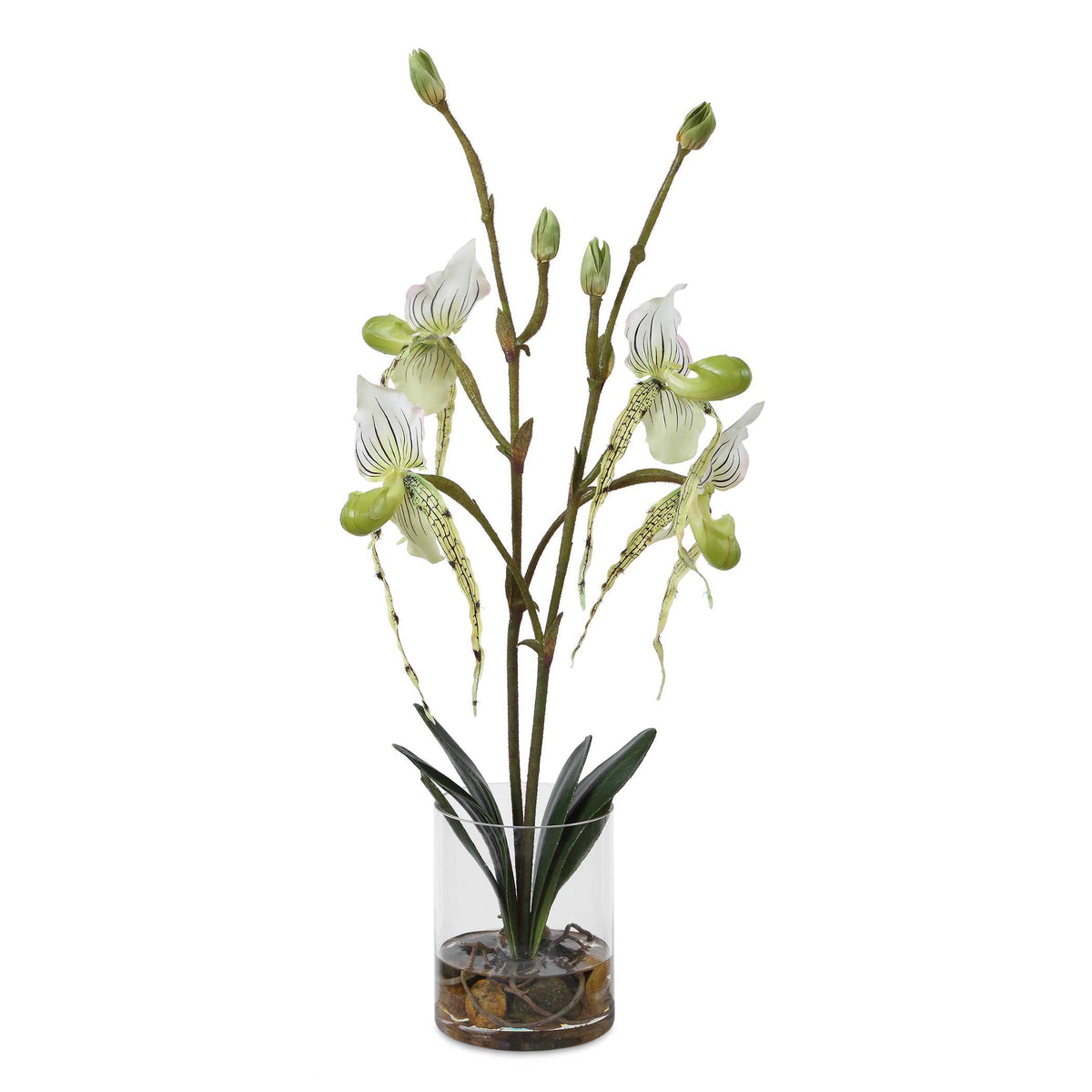 Uttermost Lady Slipper Orchid in Glass Vase by Uttermost