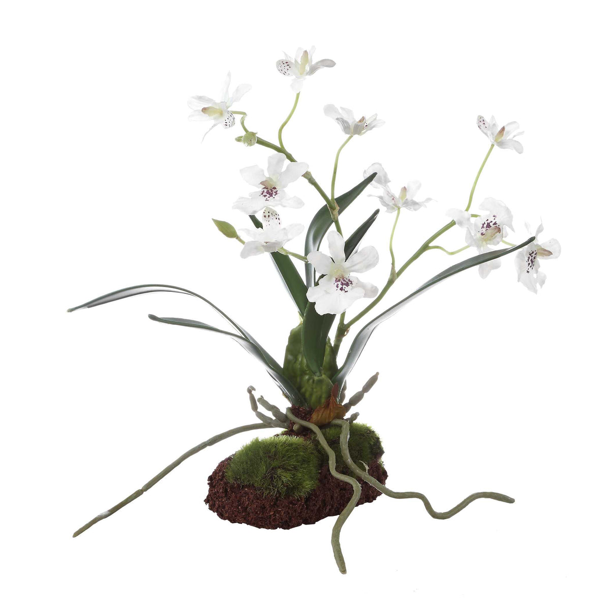 Uttermost Clovis Orchid Drop-In by Uttermost