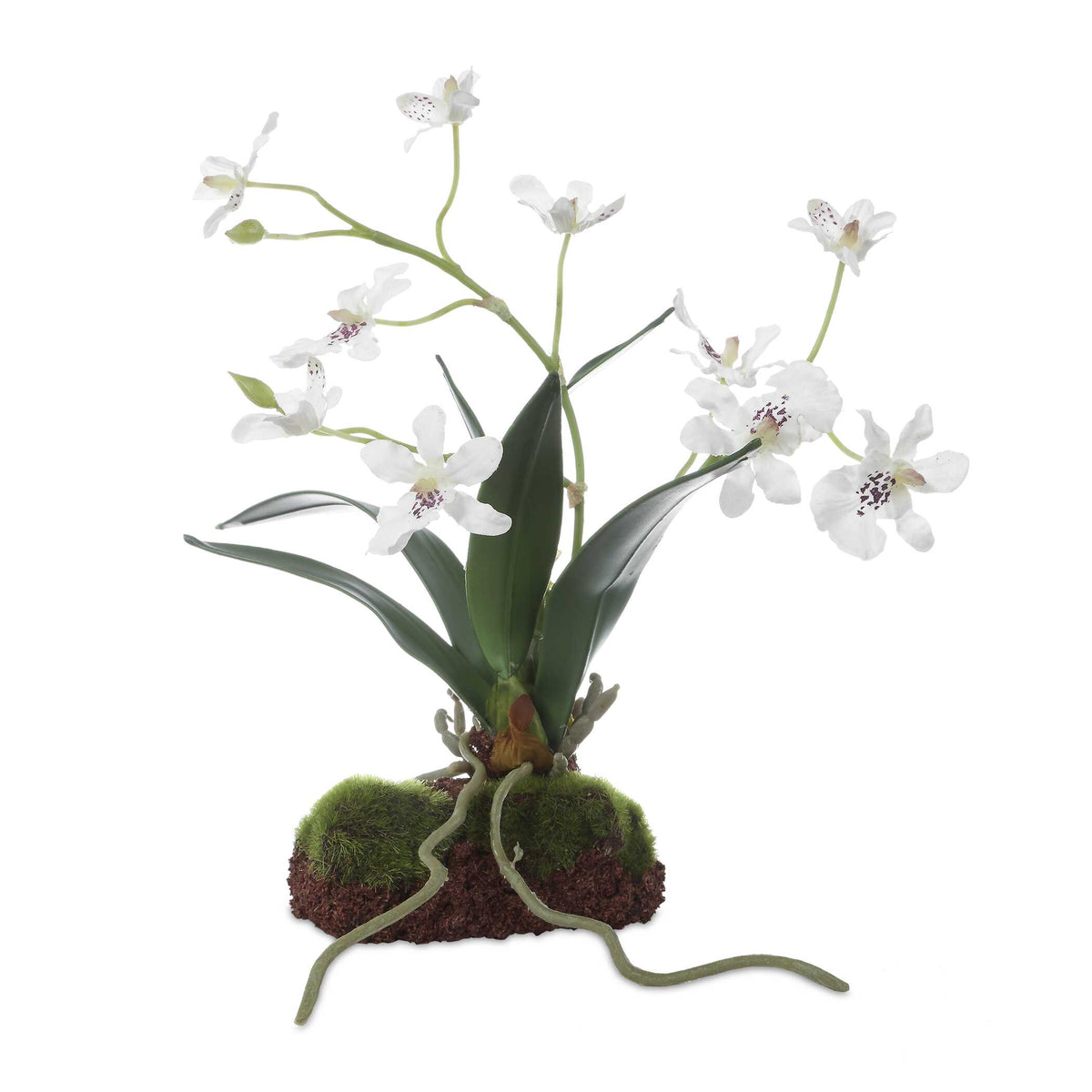 Uttermost Clovis Orchid Drop-In by Uttermost
