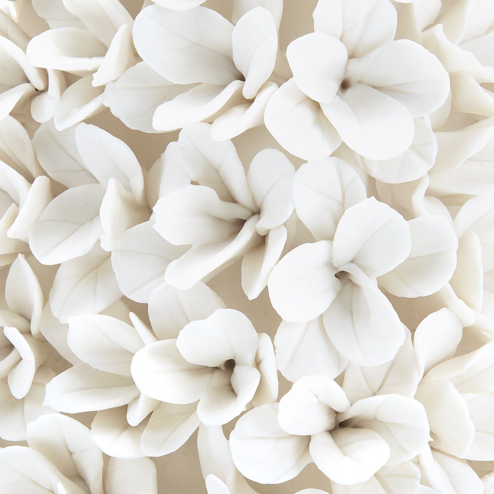 Boston Round Boxwood Topiary Decor Villa & House , Black Friday Sale Villa & House Furniture Sale, Old Bones Co, Mid Century Furniture Sale, Four Hands Furniture, Black Friday Sale Boston Round Boxwood Topiary,Gus Sale, Perigold Boston Round Boxwood Topiary Decor Black Friday Sale , Perigold Sale Boston Round Boxwood Topiary,Boston Round Boxwood Topiary Lulu and Georgia, Burke Decor Sale Boston Round Boxwood Topiary, www.oldbonesco.com