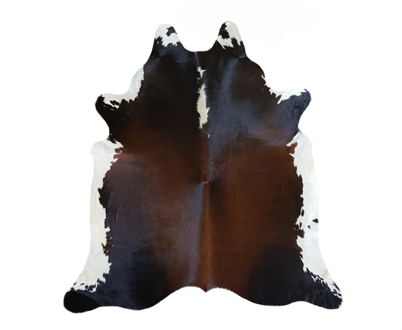 Brazil Black & White Reddish Cowhide Rug Rugs Sunshine Hides Small , Black Friday Sale Sunshine Hides Furniture Sale, Old Bones Co, Mid Century Furniture Sale, Four Hands Furniture, Black Friday Sale Brazil Black & White Reddish Cowhide Rug,Gus Sale, Perigold Brazil Black & White Reddish Cowhide Rug Rugs Black Friday Sale , Perigold Sale Brazil Black & White Reddish Cowhide Rug,Brazil Black & White Reddish Cowhide Rug Lulu and Georgia, Burke Decor Sale Brazil Black & White Reddish Cowhide Rug, www.oldbonesc