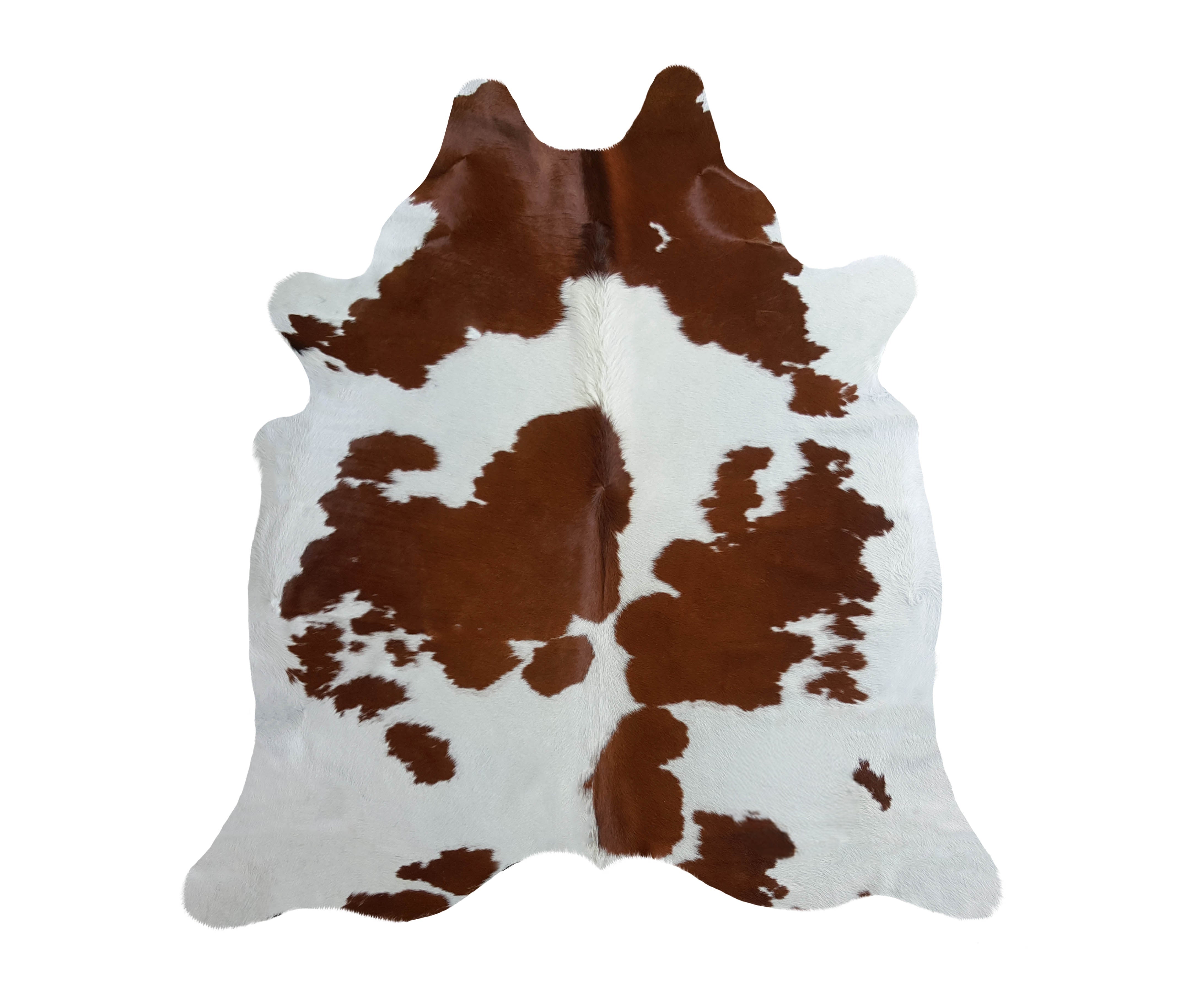 Brazil Brown and White Cowhide Rug Rugs Sunshine Hides Medium/Large , Black Friday Sale Sunshine Hides Furniture Sale, Old Bones Co, Mid Century Furniture Sale, Four Hands Furniture, Black Friday Sale Brazil Brown and White Cowhide Rug,Gus Sale, Perigold Brazil Brown and White Cowhide Rug Rugs Black Friday Sale , Perigold Sale Brazil Brown and White Cowhide Rug,Brazil Brown and White Cowhide Rug Lulu and Georgia, Burke Decor Sale Brazil Brown and White Cowhide Rug, www.oldbonesco.com