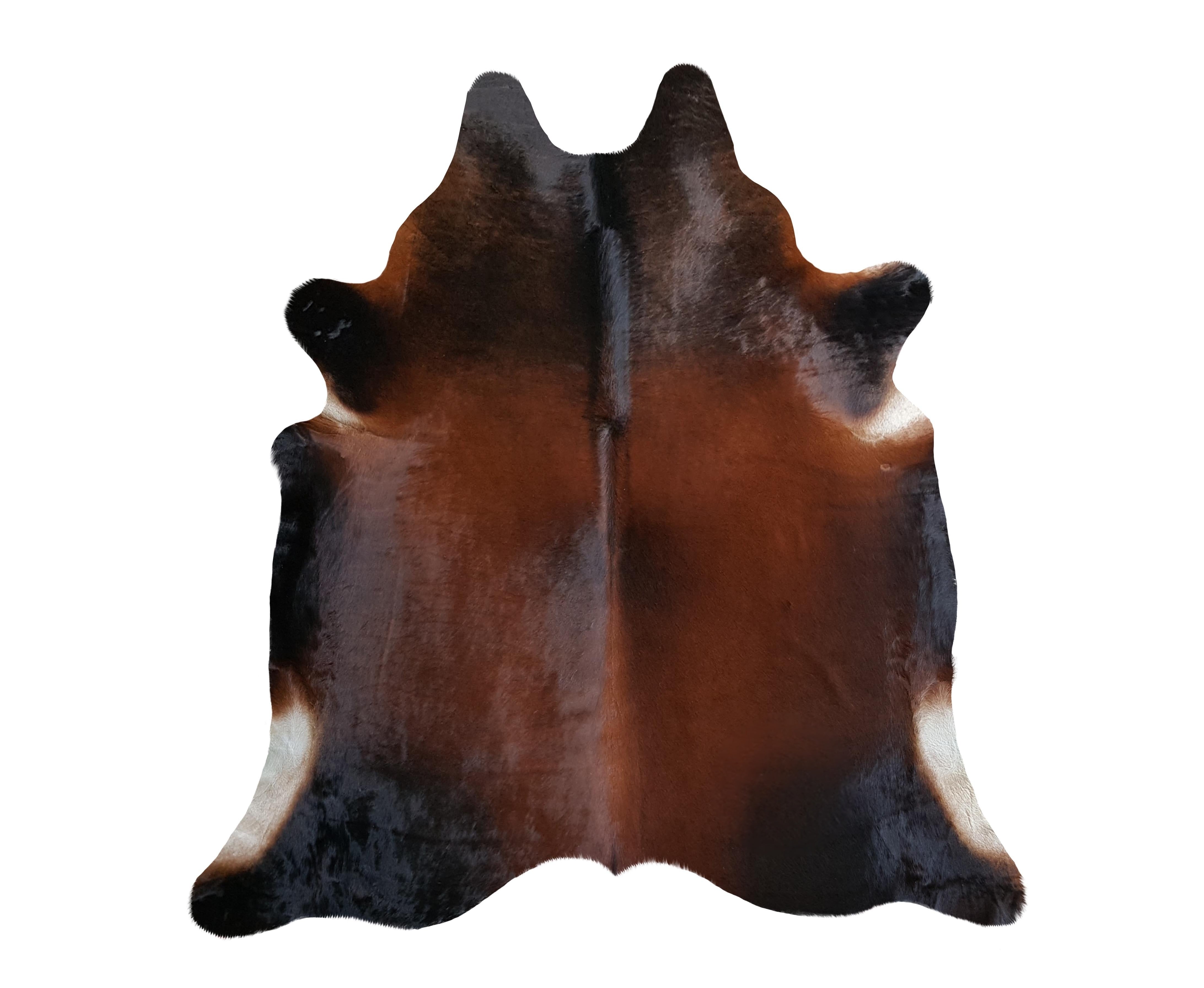 Brazil Mahogany Reddish Cowhide Rug Rugs Sunshine Hides Medium/Large , Black Friday Sale Sunshine Hides Furniture Sale, Old Bones Co, Mid Century Furniture Sale, Four Hands Furniture, Black Friday Sale Brazil Mahogany Reddish Cowhide Rug,Gus Sale, Perigold Brazil Mahogany Reddish Cowhide Rug Rugs Black Friday Sale , Perigold Sale Brazil Mahogany Reddish Cowhide Rug,Brazil Mahogany Reddish Cowhide Rug Lulu and Georgia, Burke Decor Sale Brazil Mahogany Reddish Cowhide Rug, www.oldbonesco.com