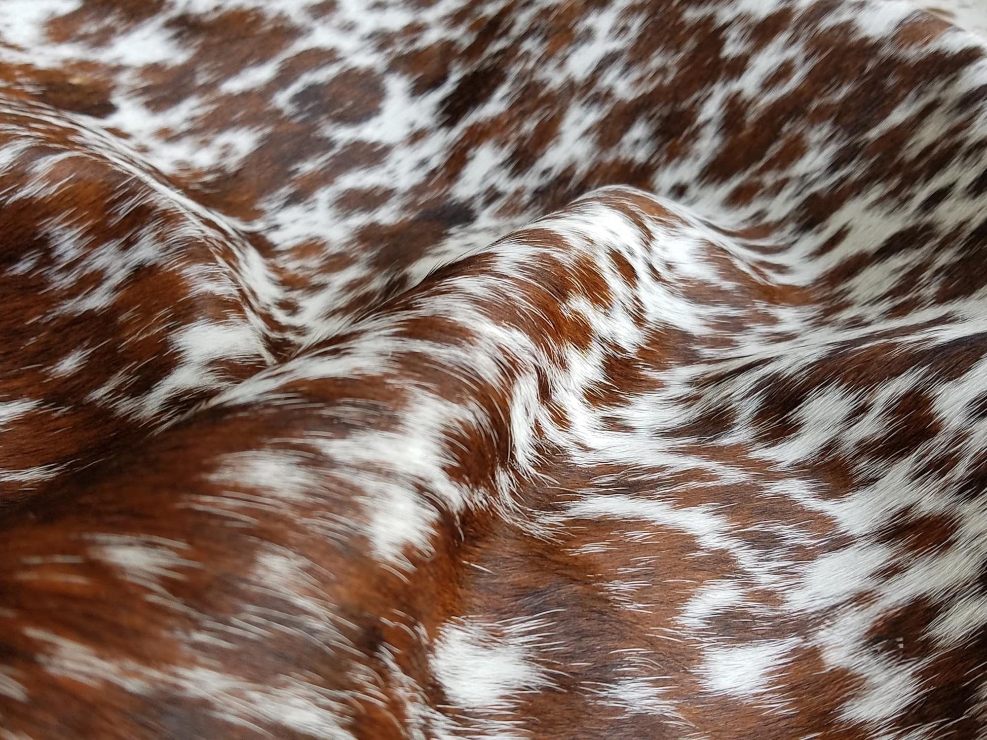 Brazil Salt & Pepper - Tricolor Cowhide Rug Rugs Sunshine Hides , Black Friday Sale Sunshine Hides Furniture Sale, Old Bones Co, Mid Century Furniture Sale, Four Hands Furniture, Black Friday Sale Brazil Salt & Pepper - Tricolor Cowhide Rug,Gus Sale, Perigold Brazil Salt & Pepper - Tricolor Cowhide Rug Rugs Black Friday Sale , Perigold Sale Brazil Salt & Pepper - Tricolor Cowhide Rug,Brazil Salt & Pepper - Tricolor Cowhide Rug Lulu and Georgia, Burke Decor Sale Brazil Salt & Pepper - Tricolor Cowhide Rug, w