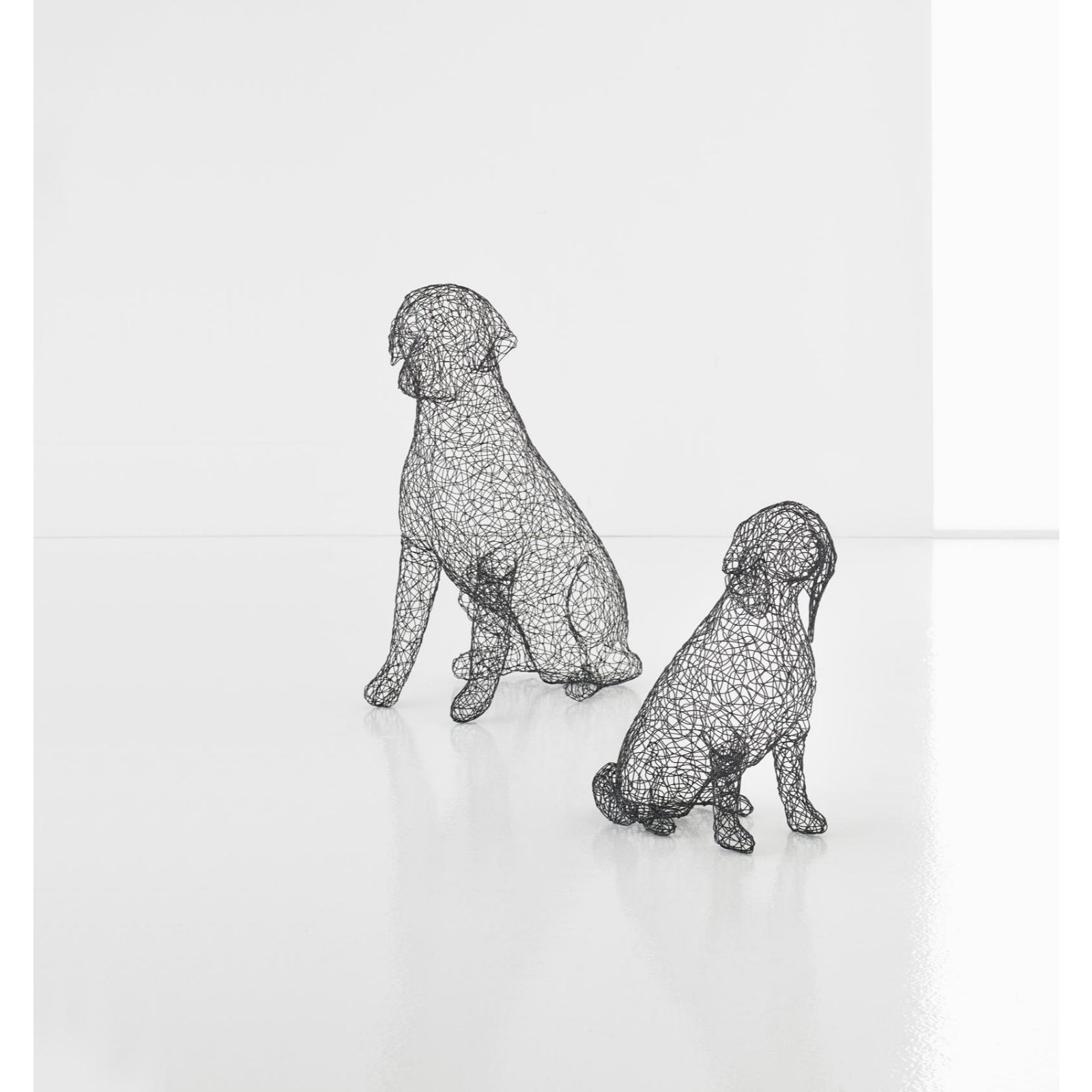 Crazy Wire Retriever