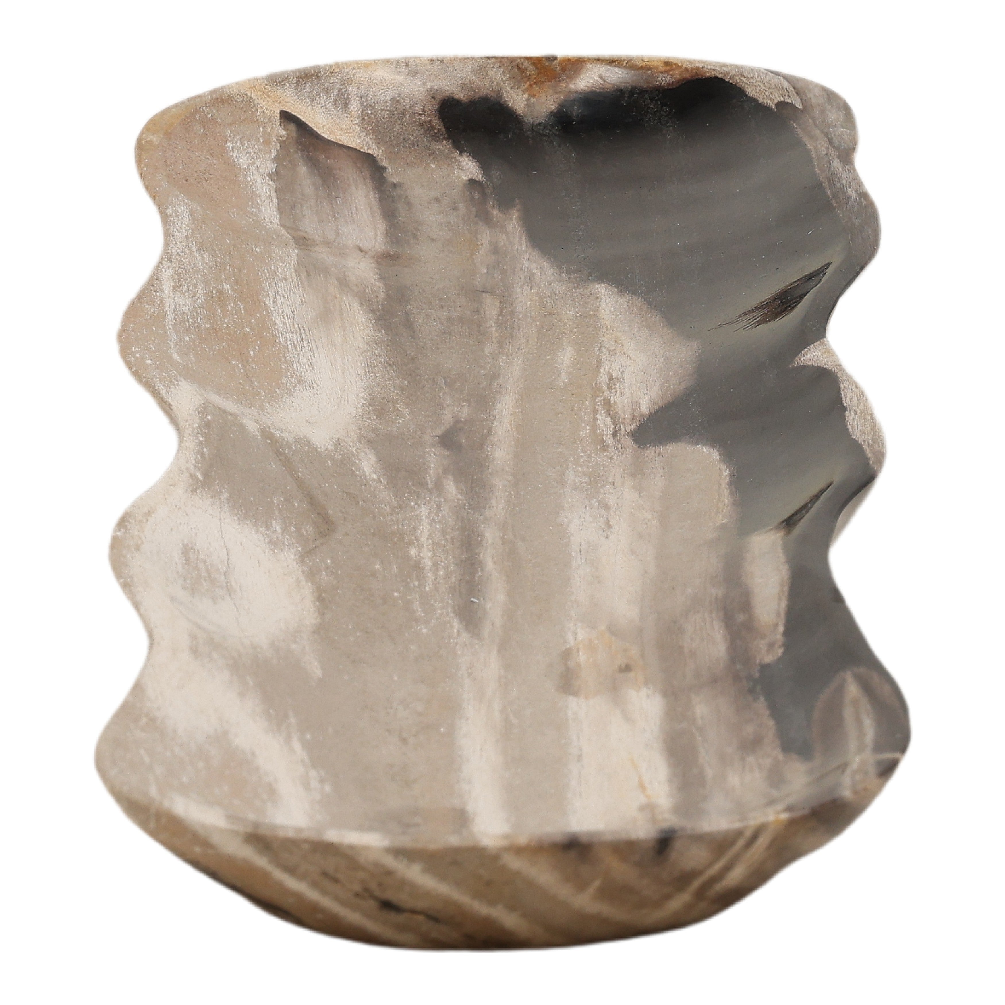 OB-22066 Petrified Wood Tray Trays & Containers Dovetail , Black Friday Sale Dovetail Furniture Sale, Old Bones Co, Mid Century Furniture Sale, Four Hands Furniture, Black Friday Sale OB-22066 Petrified Wood Tray,Gus Sale, Perigold OB-22066 Petrified Wood Tray Trays & Containers Black Friday Sale , Perigold Sale OB-22066 Petrified Wood Tray,OB-22066 Petrified Wood Tray Lulu and Georgia, Burke Decor Sale OB-22066 Petrified Wood Tray, www.oldbonesco.com