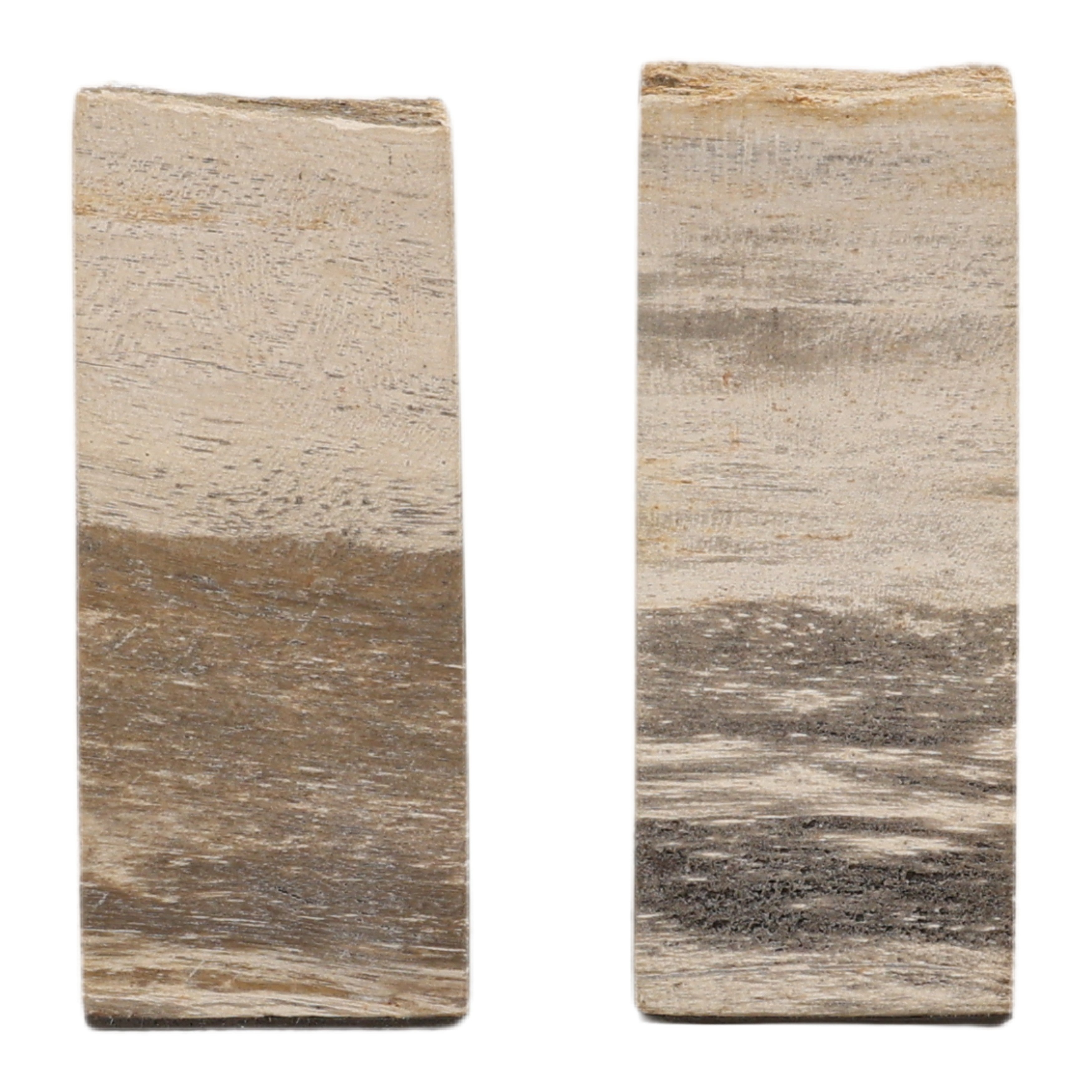 OB-22067 Petrified Wood Bookend - Set of 2 Bookends Dovetail , Black Friday Sale Dovetail Furniture Sale, Old Bones Co, Mid Century Furniture Sale, Four Hands Furniture, Black Friday Sale OB-22067 Petrified Wood Bookend - Set of 2,Gus Sale, Perigold OB-22067 Petrified Wood Bookend - Set of 2 Bookends Black Friday Sale , Perigold Sale OB-22067 Petrified Wood Bookend - Set of 2,OB-22067 Petrified Wood Bookend - Set of 2 Lulu and Georgia, Burke Decor Sale OB-22067 Petrified Wood Bookend - Set of 2, www.oldbone