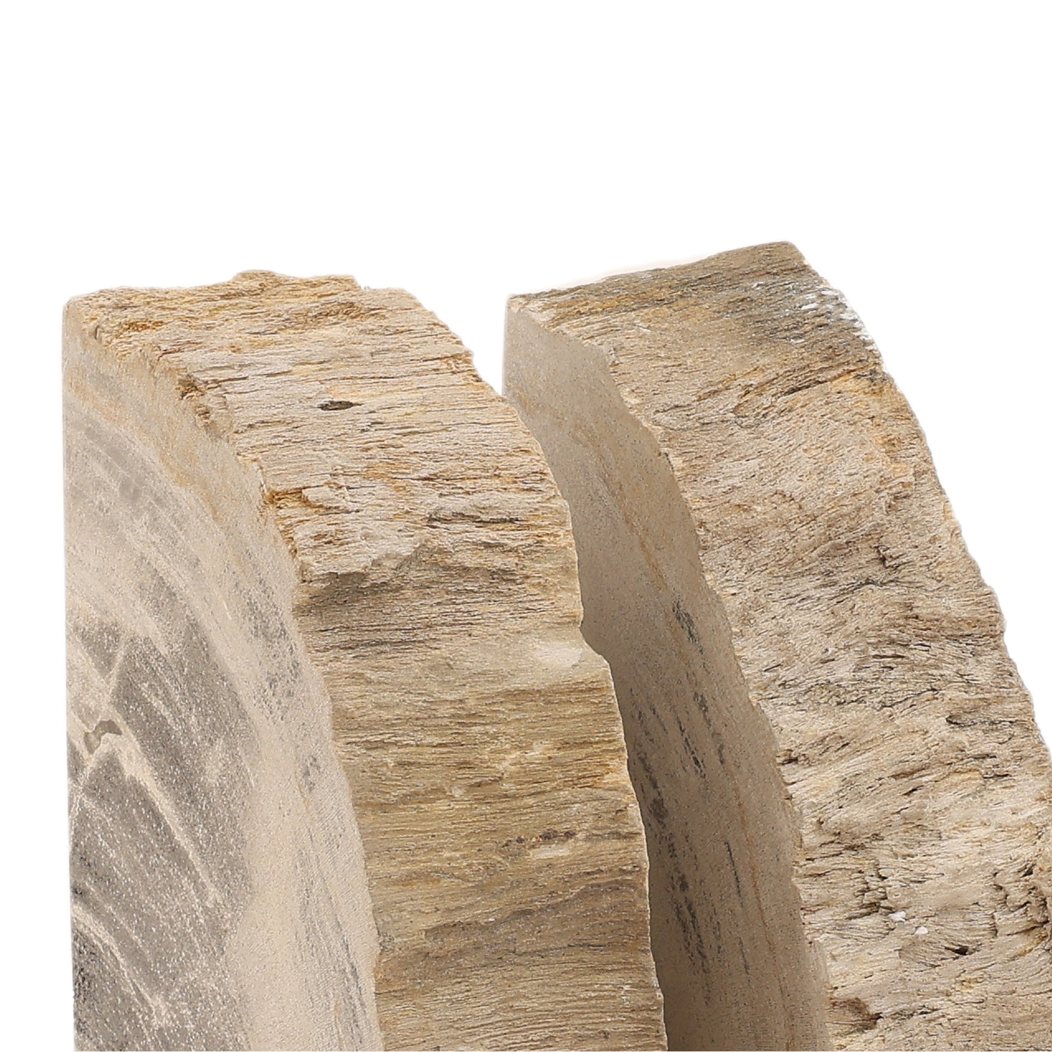 OB-22067 Petrified Wood Bookend - Set of 2 Bookends Dovetail , Black Friday Sale Dovetail Furniture Sale, Old Bones Co, Mid Century Furniture Sale, Four Hands Furniture, Black Friday Sale OB-22067 Petrified Wood Bookend - Set of 2,Gus Sale, Perigold OB-22067 Petrified Wood Bookend - Set of 2 Bookends Black Friday Sale , Perigold Sale OB-22067 Petrified Wood Bookend - Set of 2,OB-22067 Petrified Wood Bookend - Set of 2 Lulu and Georgia, Burke Decor Sale OB-22067 Petrified Wood Bookend - Set of 2, www.oldbone