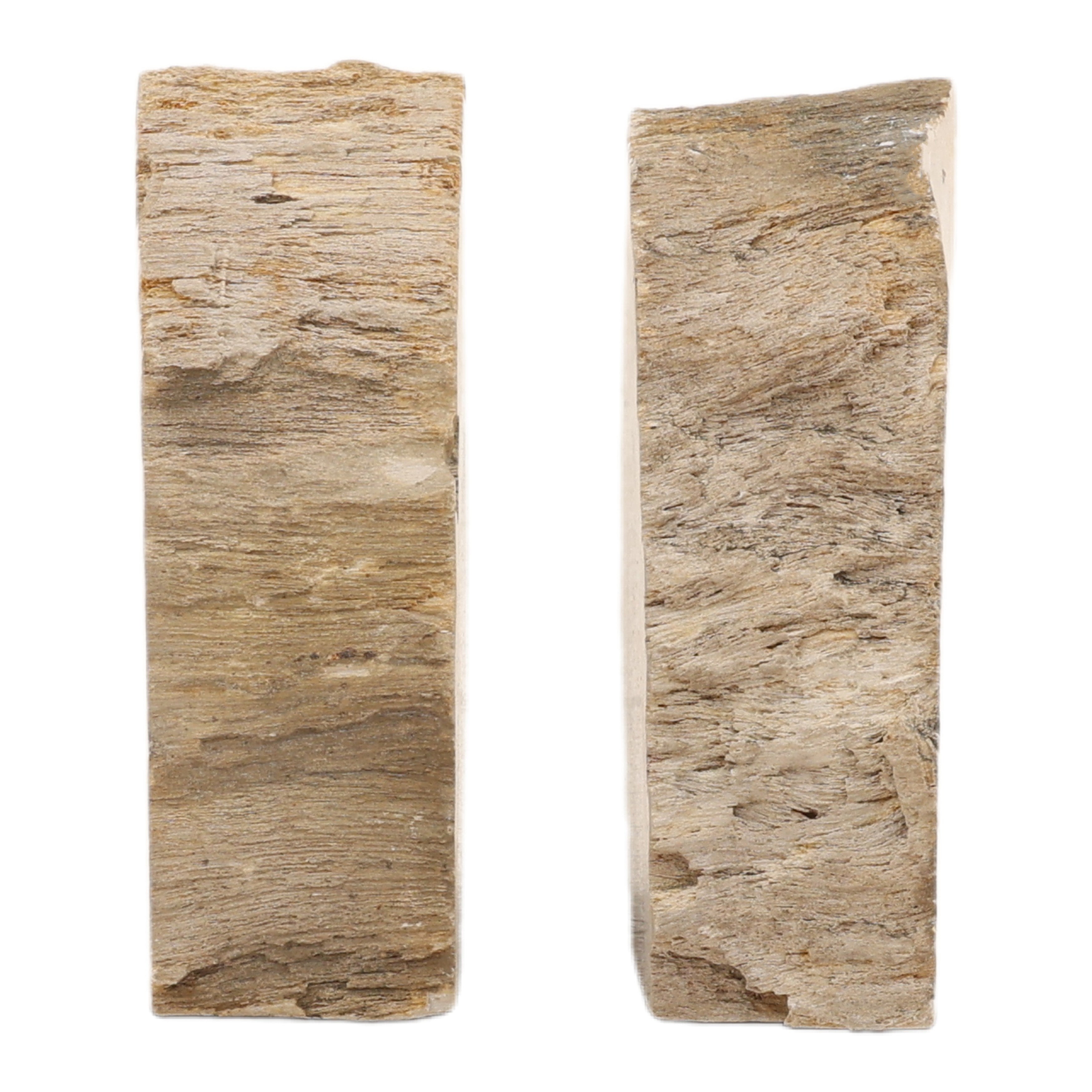 OB-22067 Petrified Wood Bookend - Set of 2 Bookends Dovetail , Black Friday Sale Dovetail Furniture Sale, Old Bones Co, Mid Century Furniture Sale, Four Hands Furniture, Black Friday Sale OB-22067 Petrified Wood Bookend - Set of 2,Gus Sale, Perigold OB-22067 Petrified Wood Bookend - Set of 2 Bookends Black Friday Sale , Perigold Sale OB-22067 Petrified Wood Bookend - Set of 2,OB-22067 Petrified Wood Bookend - Set of 2 Lulu and Georgia, Burke Decor Sale OB-22067 Petrified Wood Bookend - Set of 2, www.oldbone