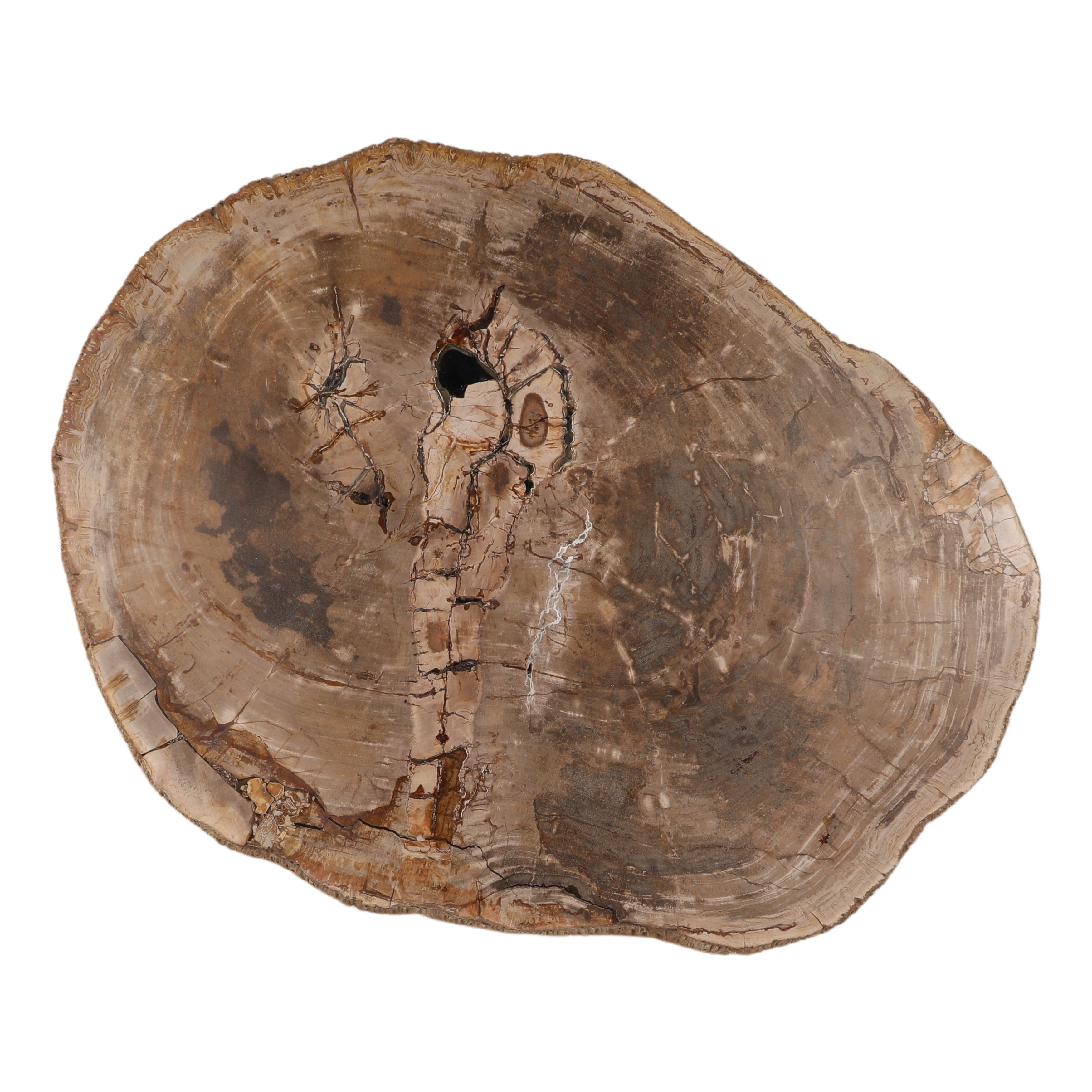 Arcelio Coffee Table - Light Natural