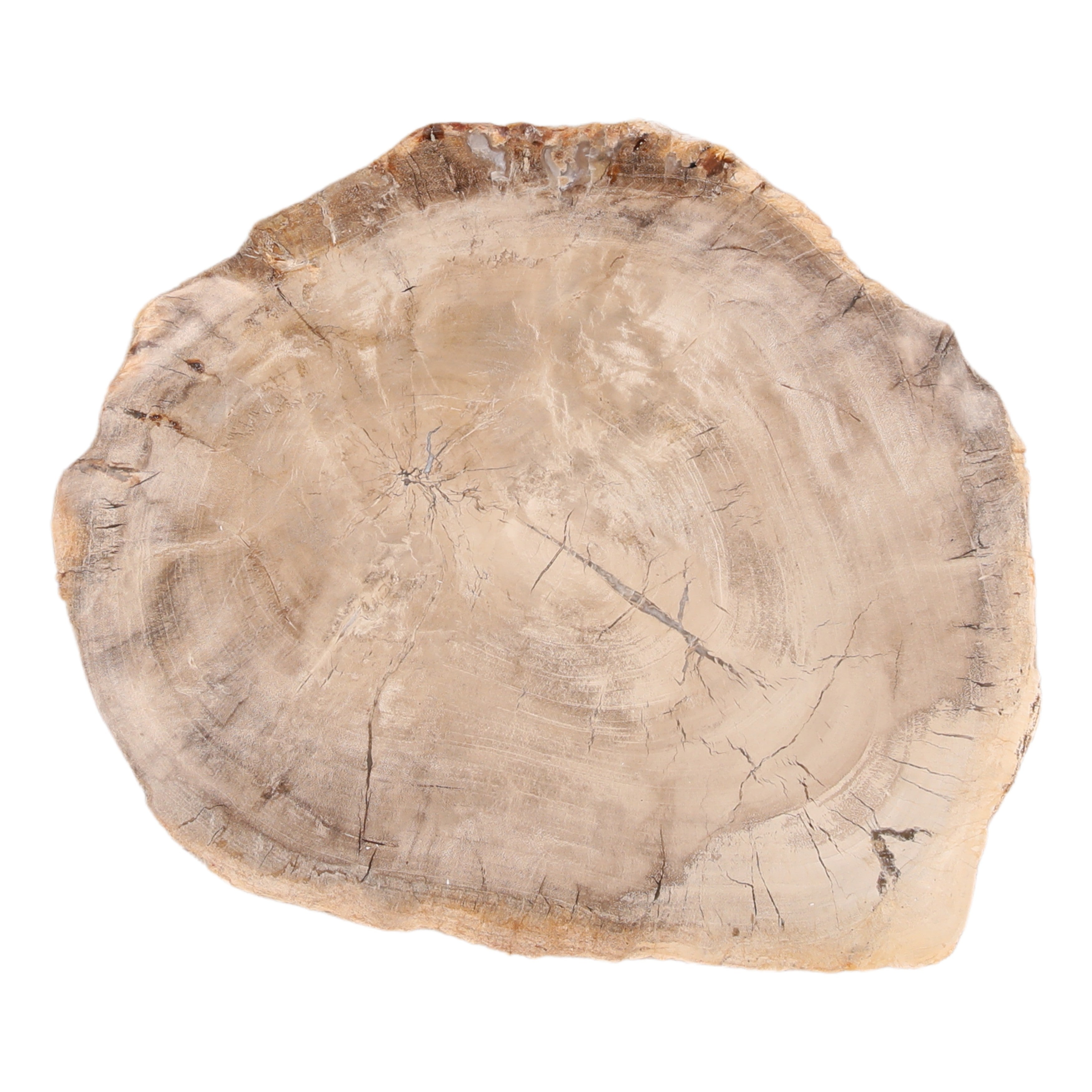 Brazell Tray - Light Natural