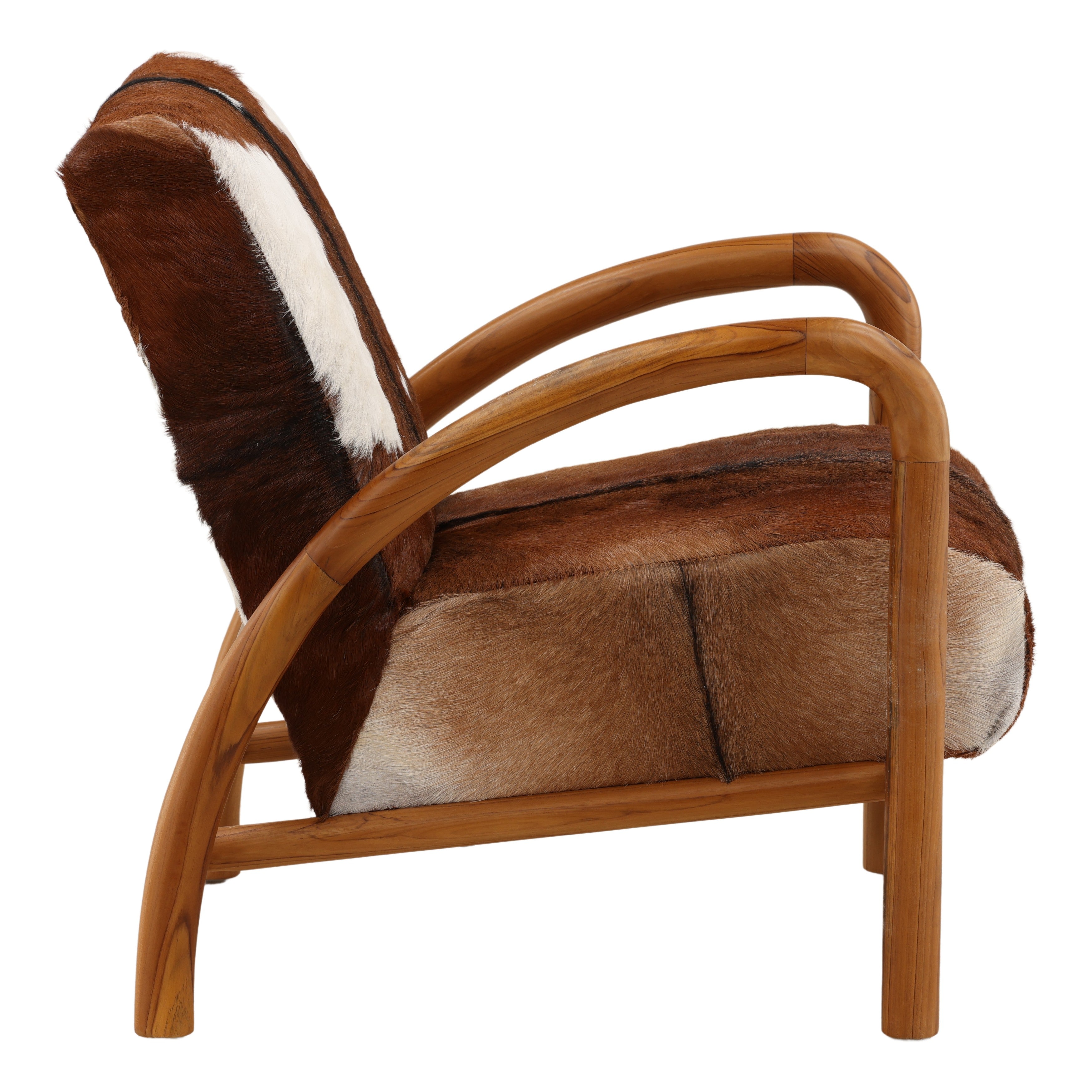 Chaeronus Occasional Chair