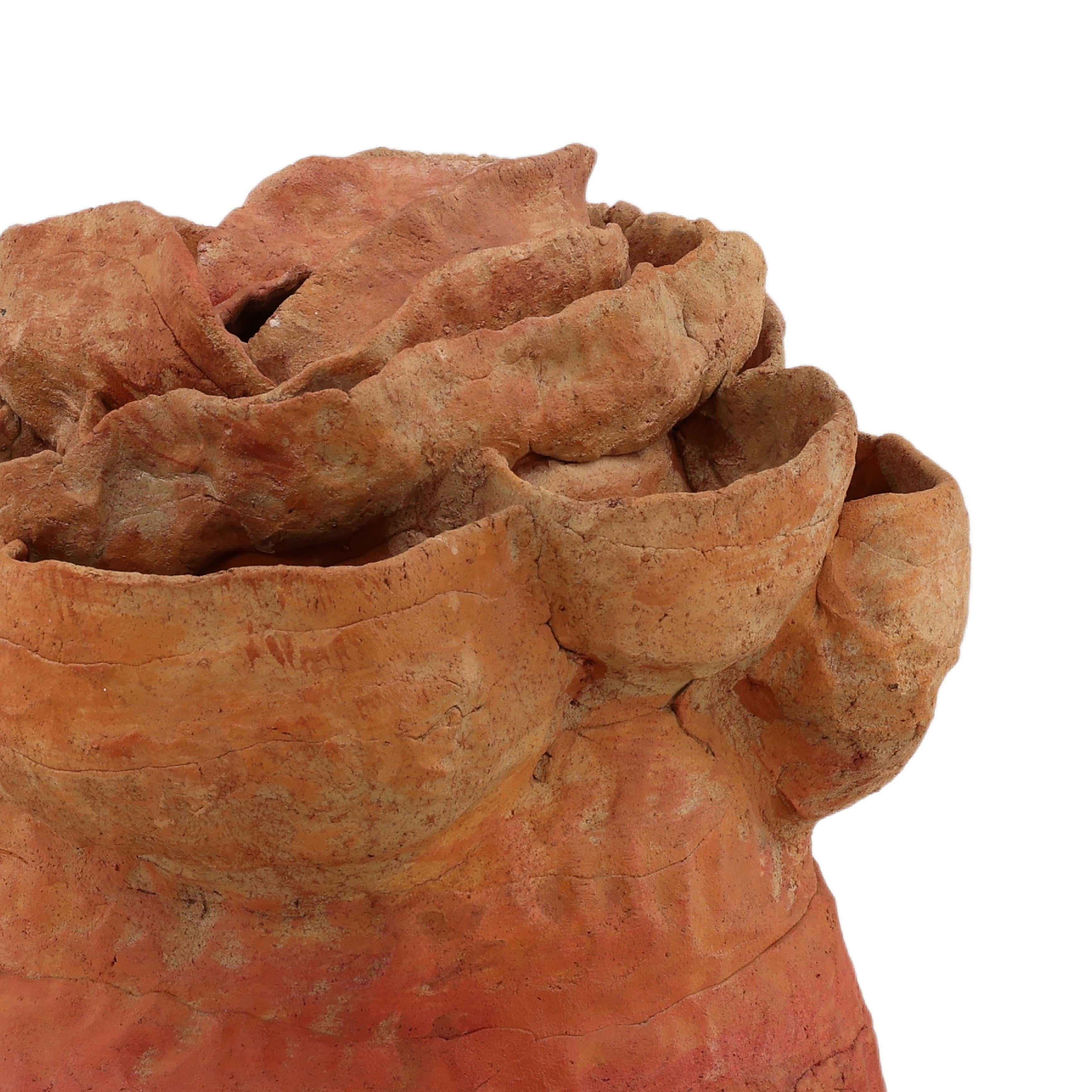 OB-69012 Terracotta Sculpture Sculptures Dovetail , Black Friday Sale Dovetail Furniture Sale, Old Bones Co, Mid Century Furniture Sale, Four Hands Furniture, Black Friday Sale OB-69012 Terracotta Sculpture,Gus Sale, Perigold OB-69012 Terracotta Sculpture Sculptures Black Friday Sale , Perigold Sale OB-69012 Terracotta Sculpture,OB-69012 Terracotta Sculpture Lulu and Georgia, Burke Decor Sale OB-69012 Terracotta Sculpture, www.oldbonesco.com