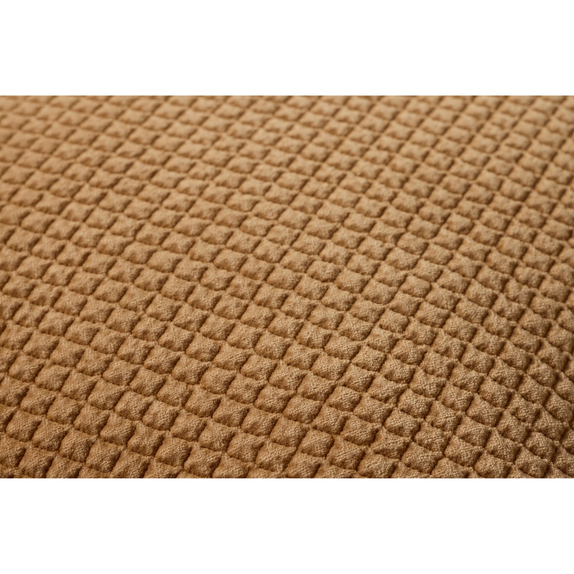 Loloi PLL0130 22'' x 22'' Cover with Down Pillow