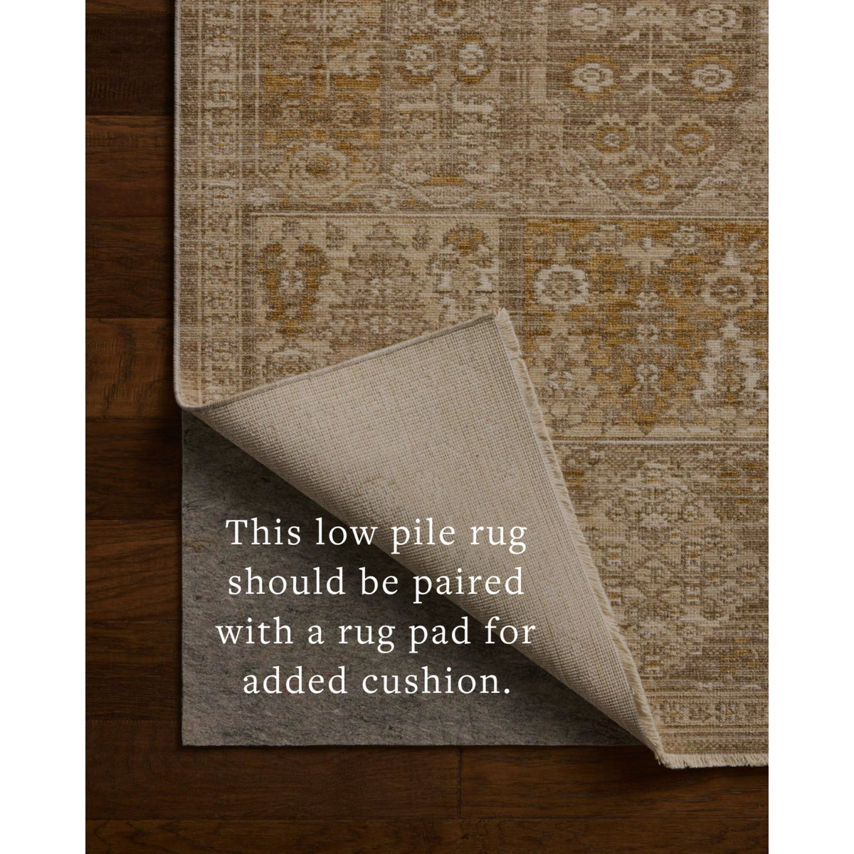 Loloi Elora Mushroom/Ochre Rug by Loloi