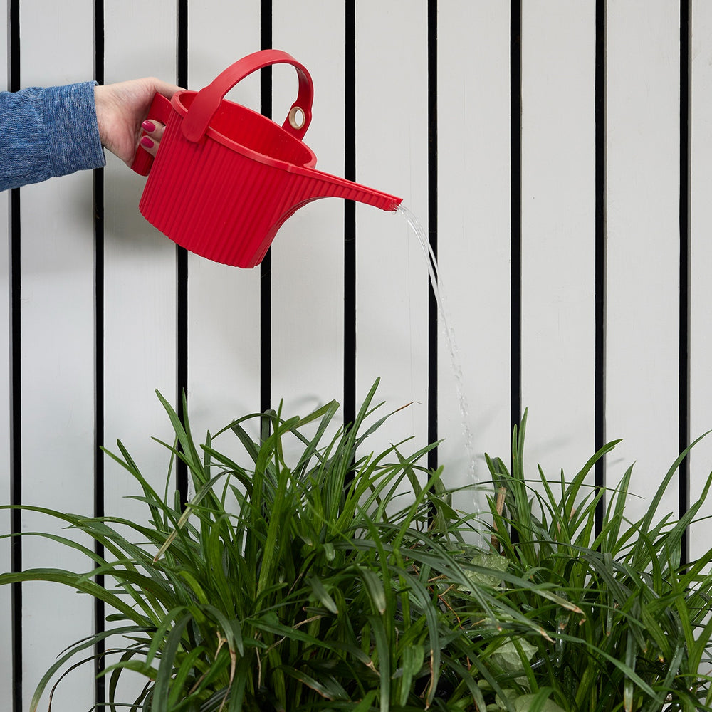 Hachiman Garden Beetle Watering Cans