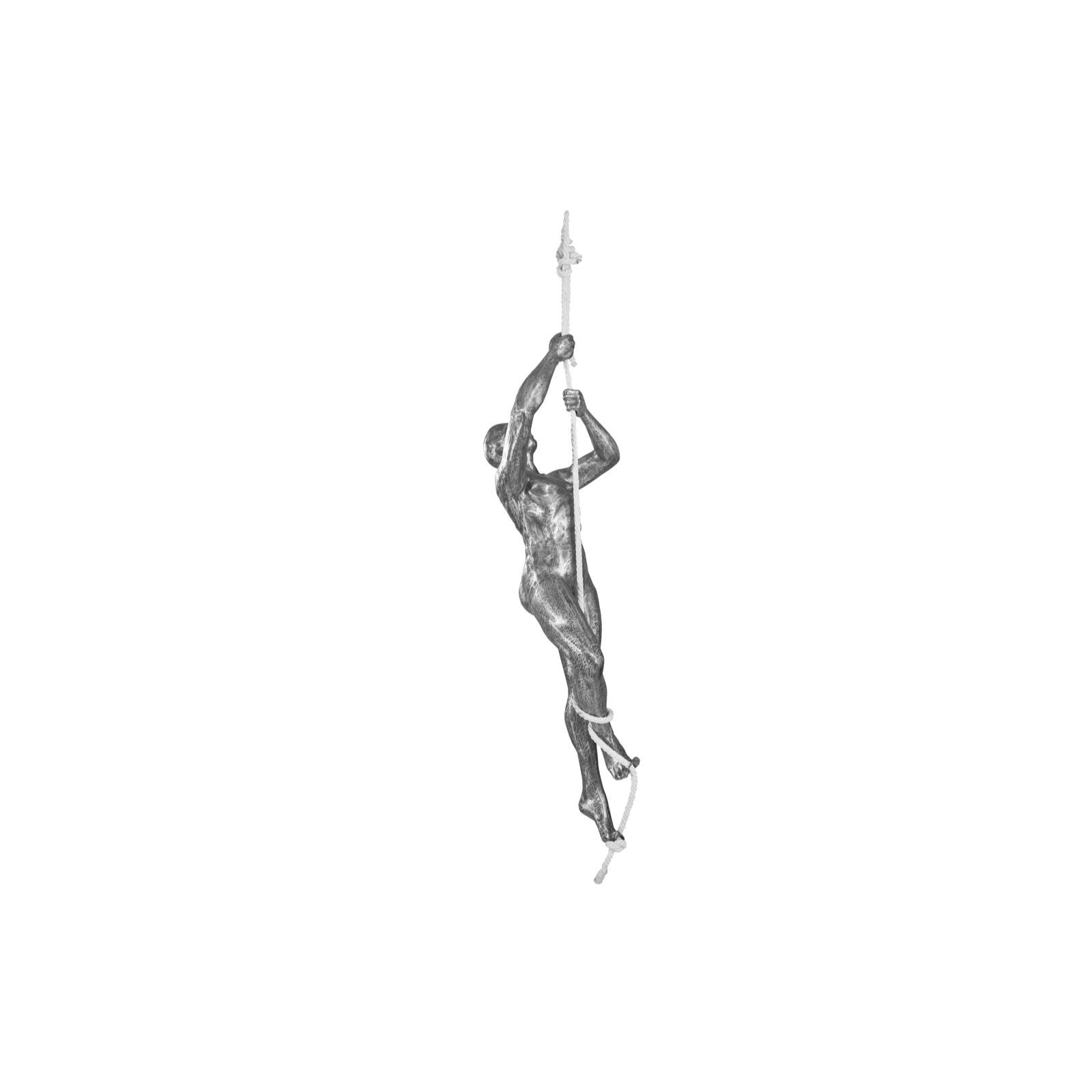 Climbing Sculpture with Rope