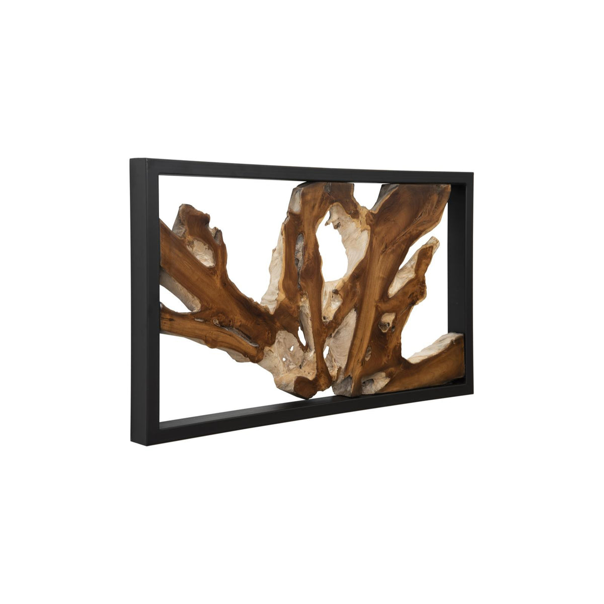 Framed Root Wall Art by Phillips Collection