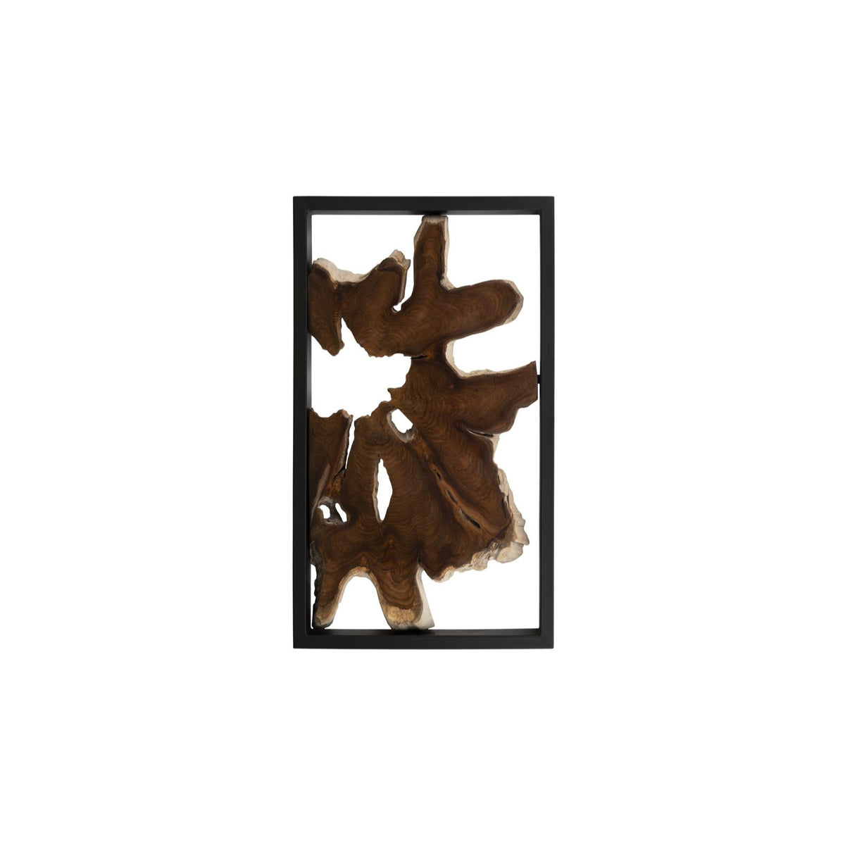 Framed Root Wall Art by Phillips Collection