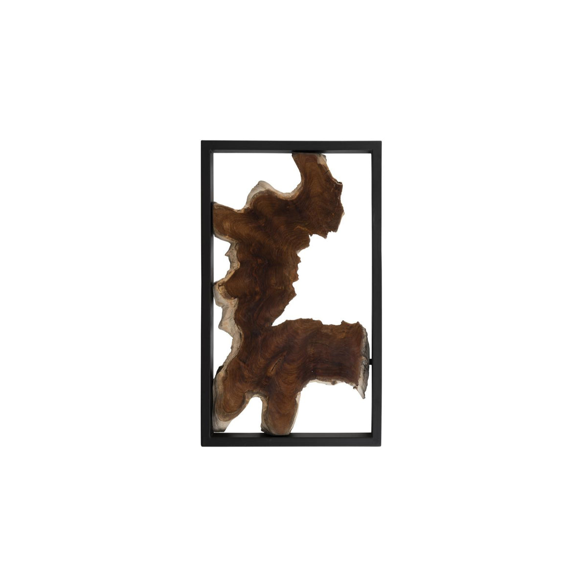 Framed Root Wall Art by Phillips Collection