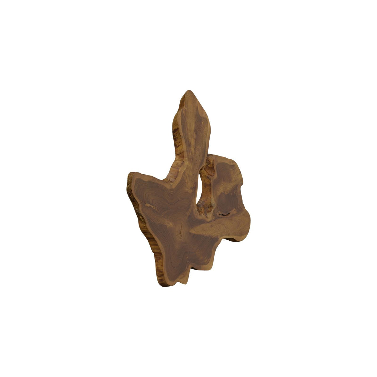 Freeform Teak Wall Slice by Phillips Collection