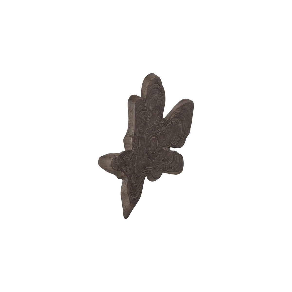 Freeform Teak Wall Slice by Phillips Collection