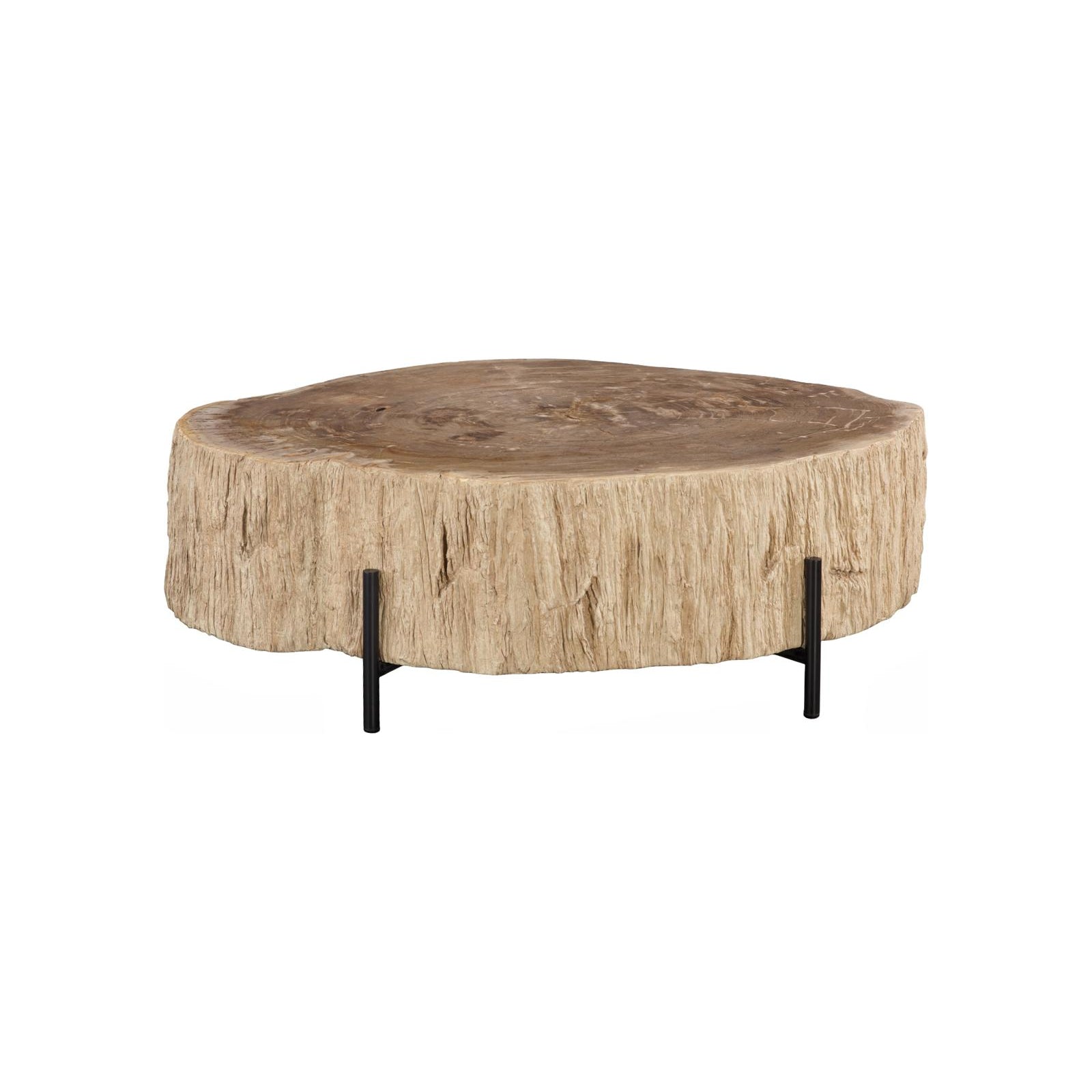 Chaka Petrified Coffee Table with Black Legs