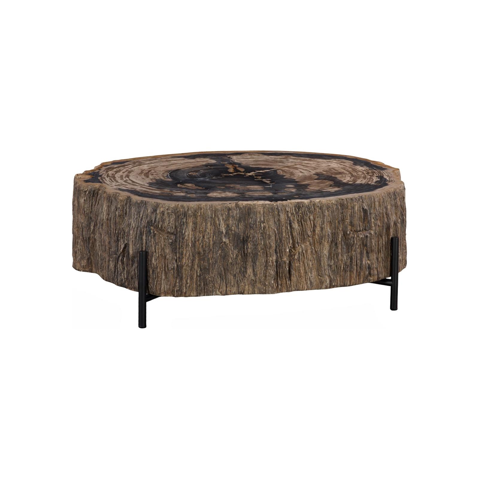 Chaka Petrified Coffee Table with Black Legs