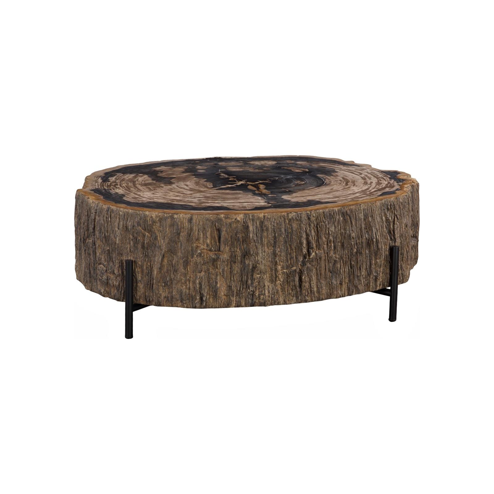 Chaka Petrified Coffee Table with Black Legs