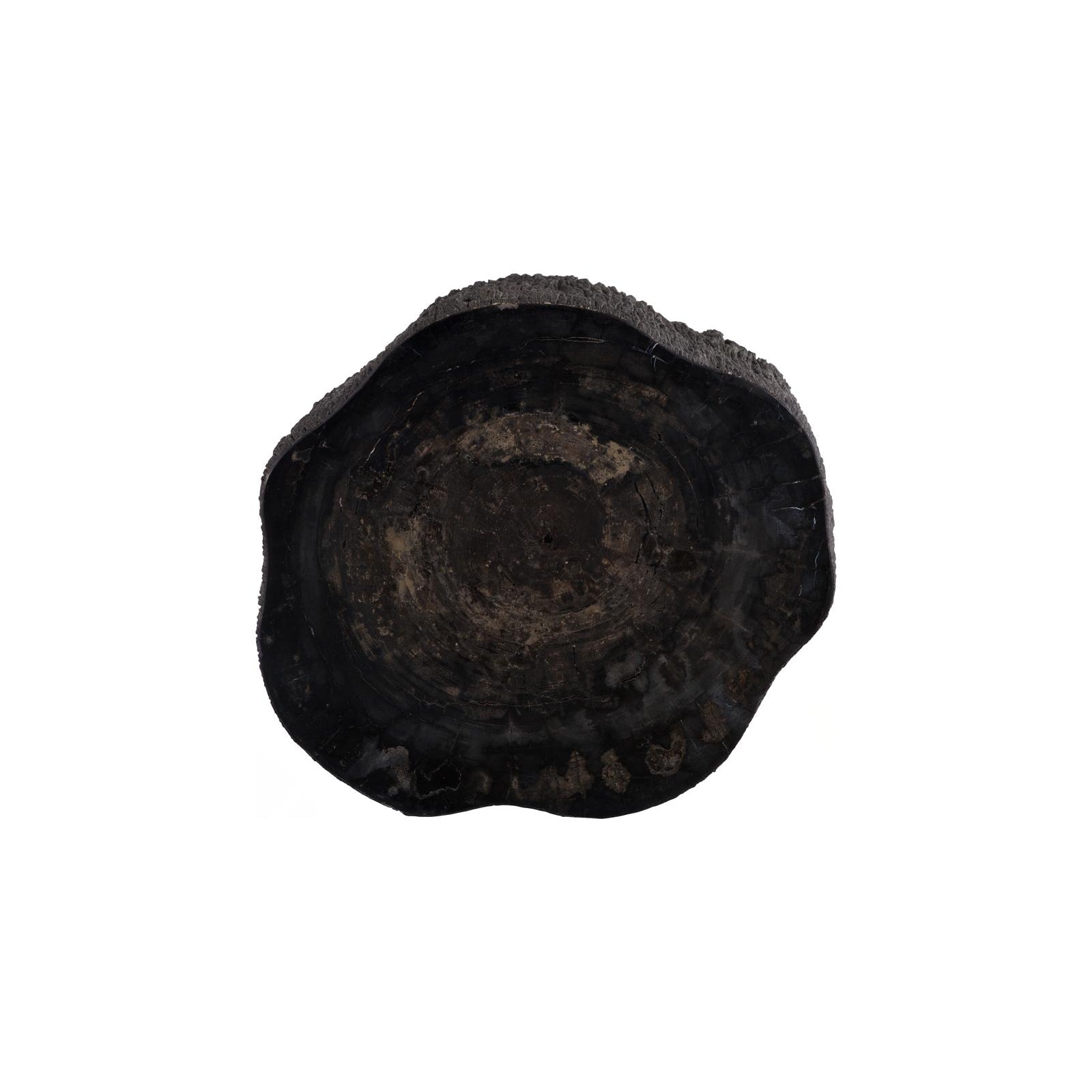 Chaka Petrified Coffee Table - Black