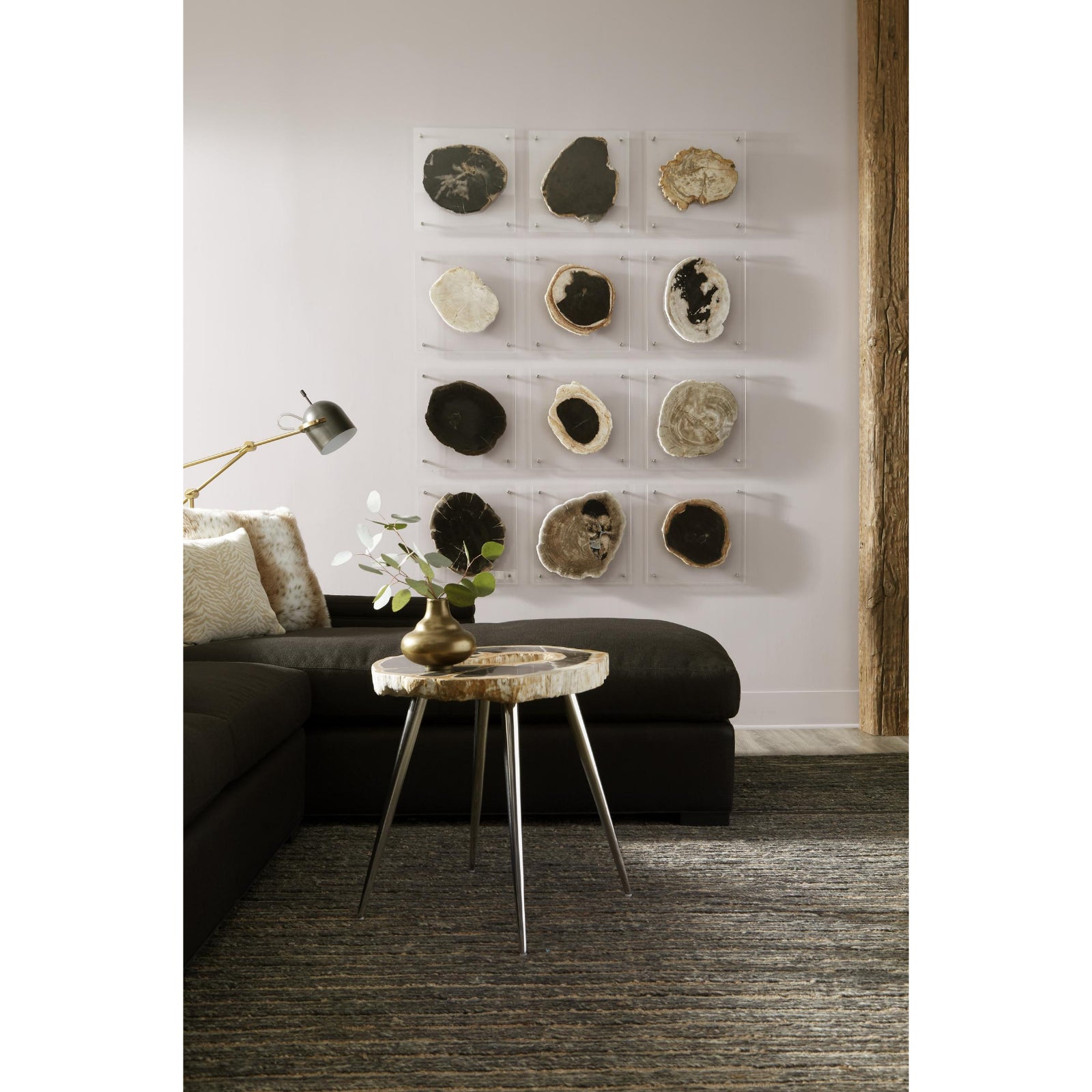 Floating Petrified Slice Wall Art