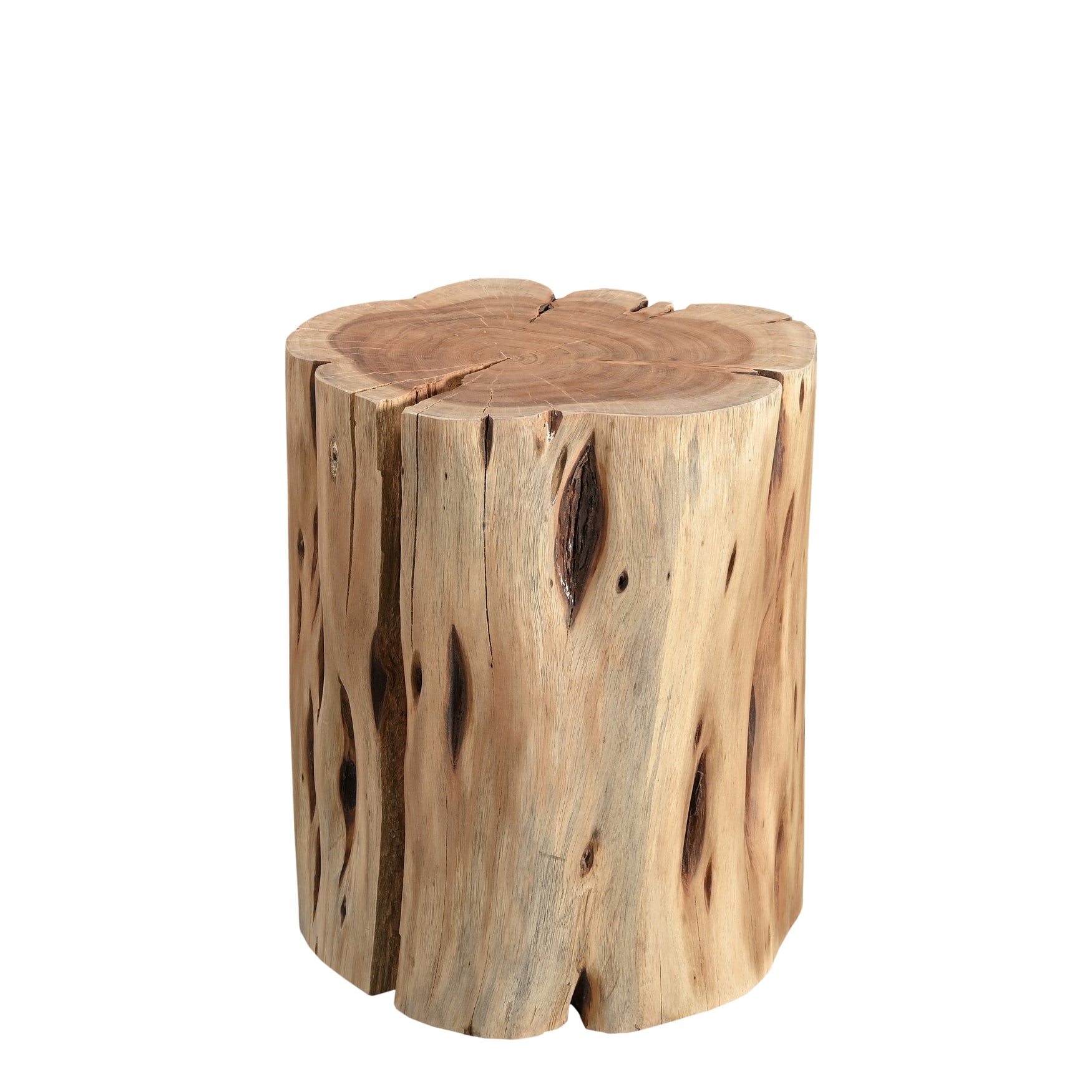 Solid Wood Stump Side & End Tables Urbia , Black Friday Sale Urbia Furniture Sale, Old Bones Co, Mid Century Furniture Sale, Four Hands Furniture, Black Friday Sale Solid Wood Stump,Gus Sale, Perigold Solid Wood Stump Side & End Tables Black Friday Sale , Perigold Sale Solid Wood Stump,Solid Wood Stump Lulu and Georgia, Burke Decor Sale Solid Wood Stump, www.oldbonesco.com