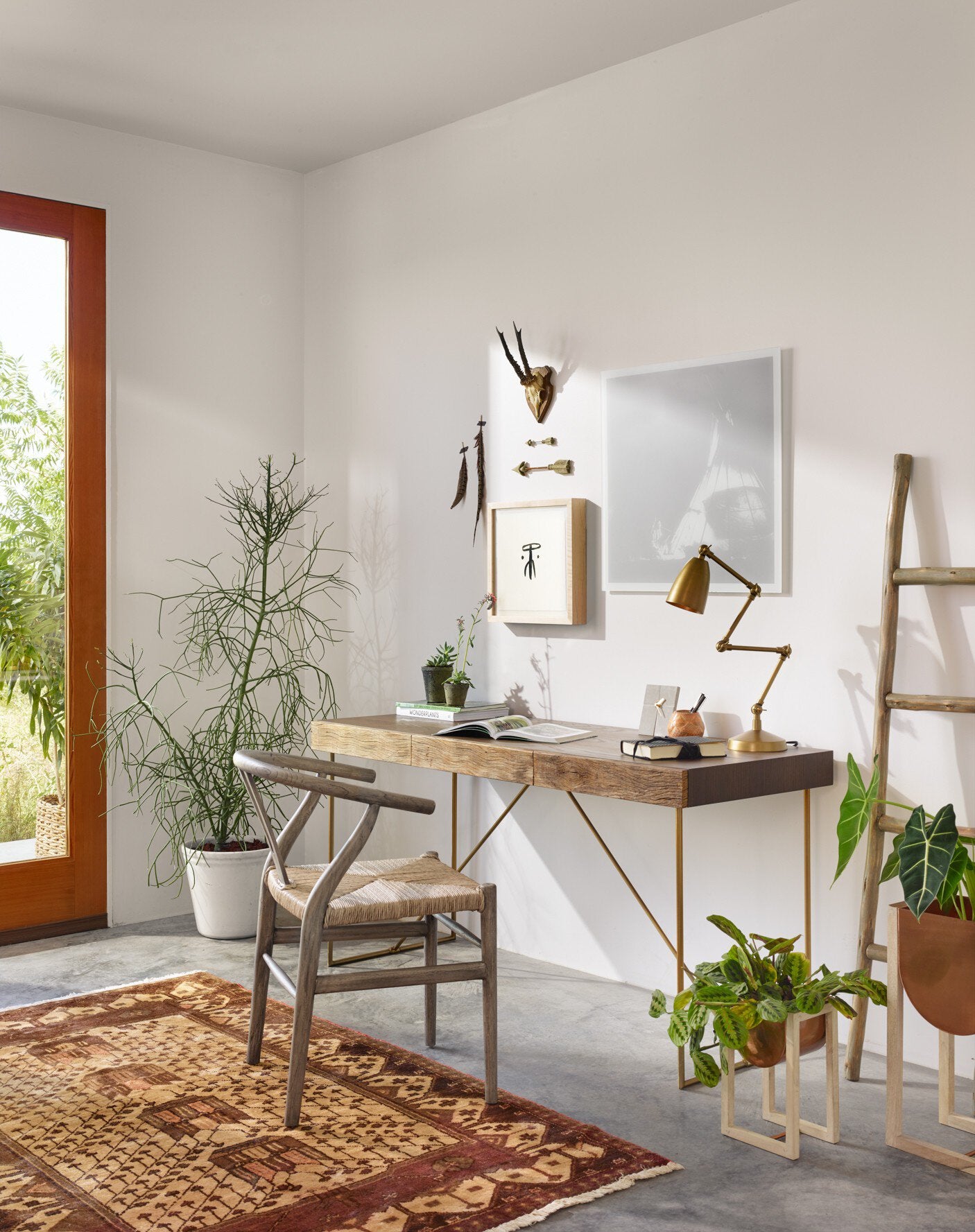 Muestra Dining Chair Dining Chairs Four Hands , Black Friday Sale Four Hands Furniture Sale, Old Bones Co, Mid Century Furniture Sale, Four Hands Furniture, Black Friday Sale Muestra Dining Chair,Gus Sale, Perigold Muestra Dining Chair Dining Chairs Black Friday Sale , Perigold Sale Muestra Dining Chair,Muestra Dining Chair Lulu and Georgia, Burke Decor Sale Muestra Dining Chair, www.oldbonesco.com