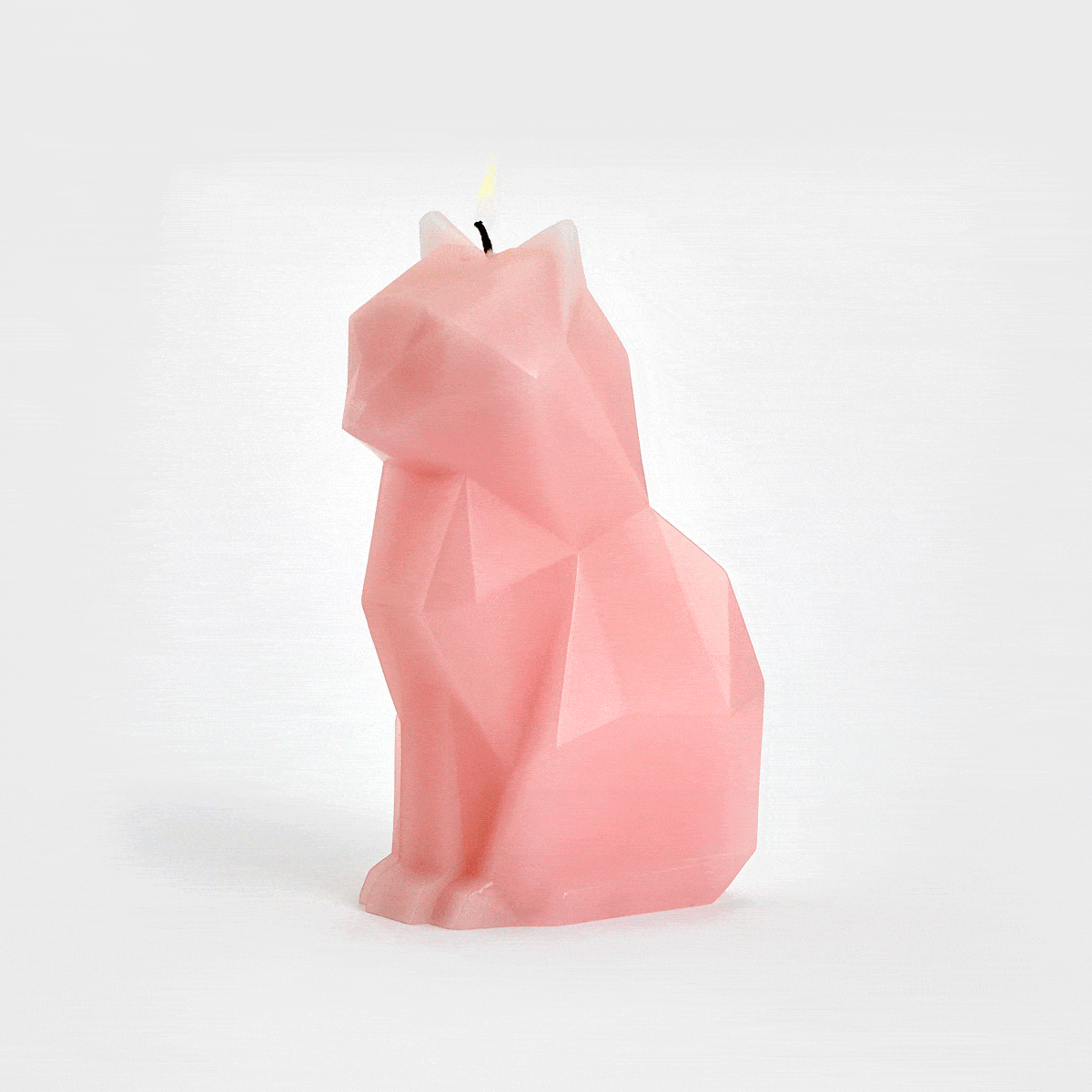 PyroPet Kisa Cat Candle - Light Pink PyroPet Kisa (Cat) 54Celsius , Black Friday Sale 54Celsius Furniture Sale, Old Bones Co, Mid Century Furniture Sale, Four Hands Furniture, Black Friday Sale PyroPet Kisa Cat Candle - Light Pink,Gus Sale, Perigold PyroPet Kisa Cat Candle - Light Pink PyroPet Kisa (Cat) Black Friday Sale , Perigold Sale PyroPet Kisa Cat Candle - Light Pink,PyroPet Kisa Cat Candle - Light Pink Lulu and Georgia, Burke Decor Sale PyroPet Kisa Cat Candle - Light Pink, www.oldbonesco.com