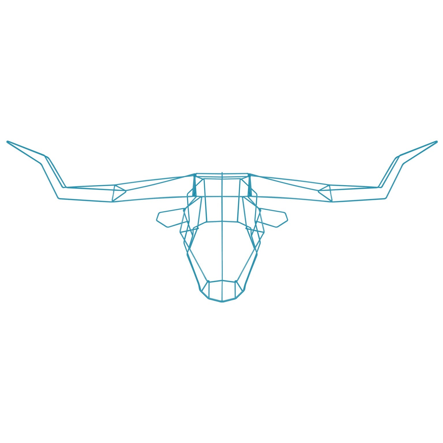 Long Horn
