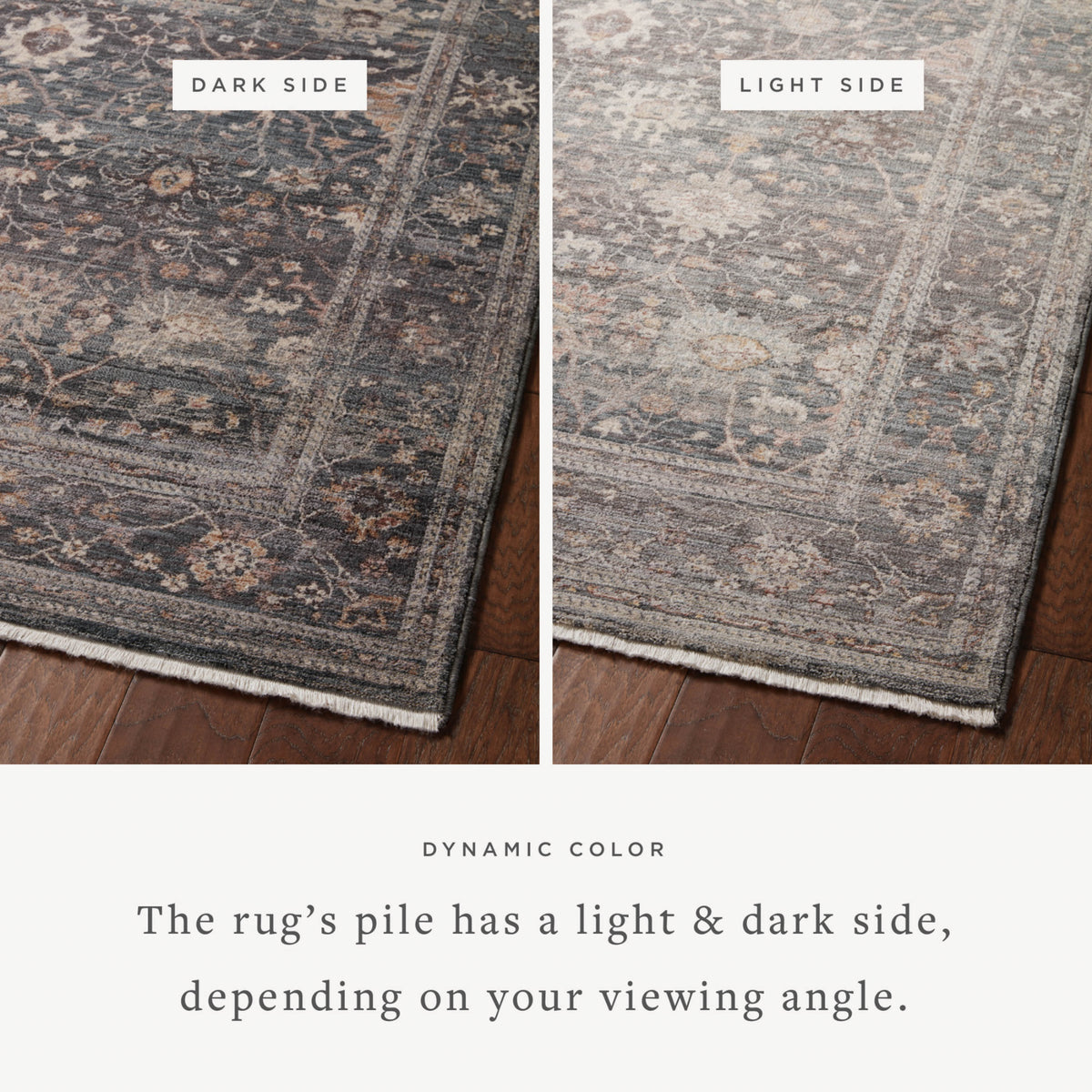 Loloi Lyra Ink/Multi Rug by Loloi