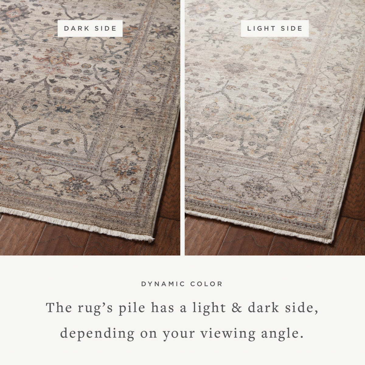 Loloi Lyra Pebble/Multi Rug by Loloi